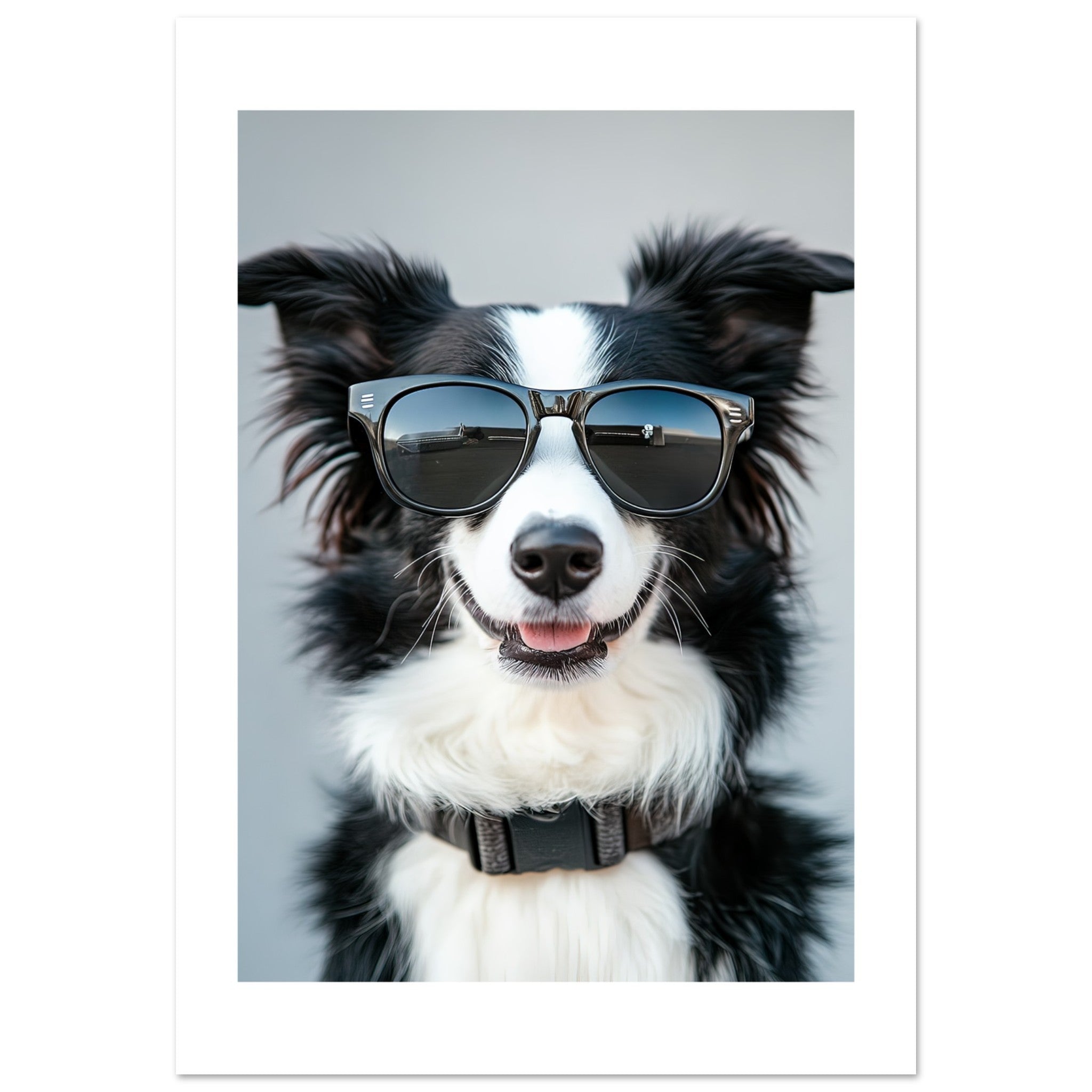 Border Collie Dog Wearing Pilot Sunglasses 1