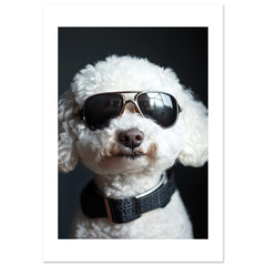 Bichon Frise Dog Wearing Pilot Sunglasses 1