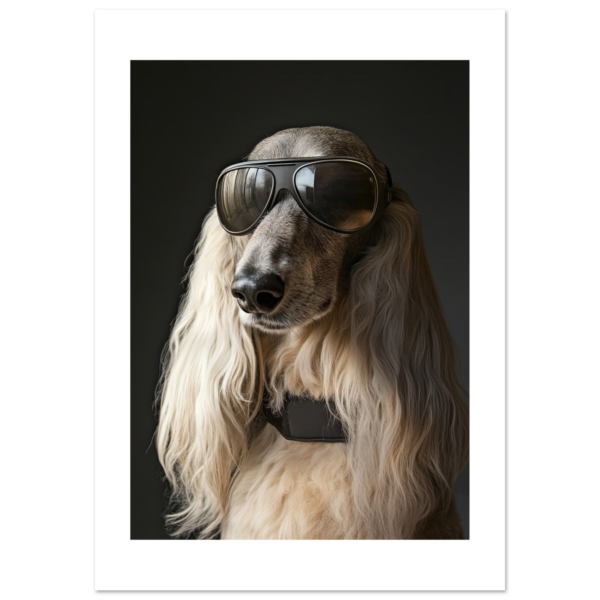Afghan Hound Dog Wearing Pilot Sunglasses 1