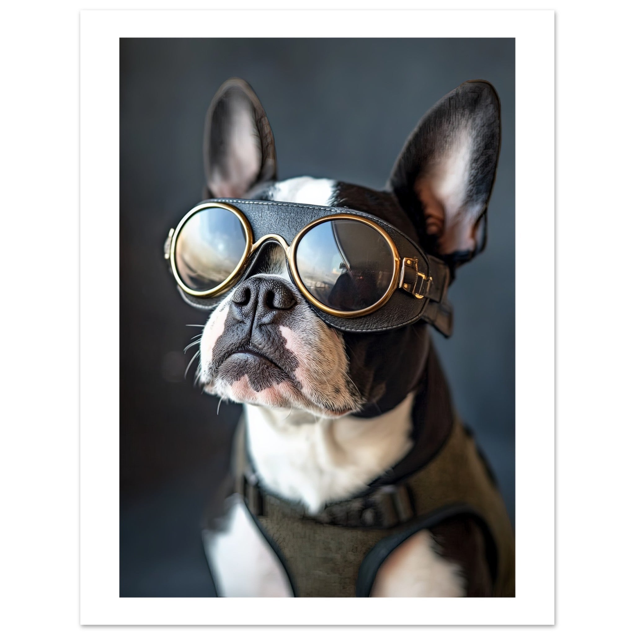 Boston Terrier Dog Wearing Pilot Sunglasses