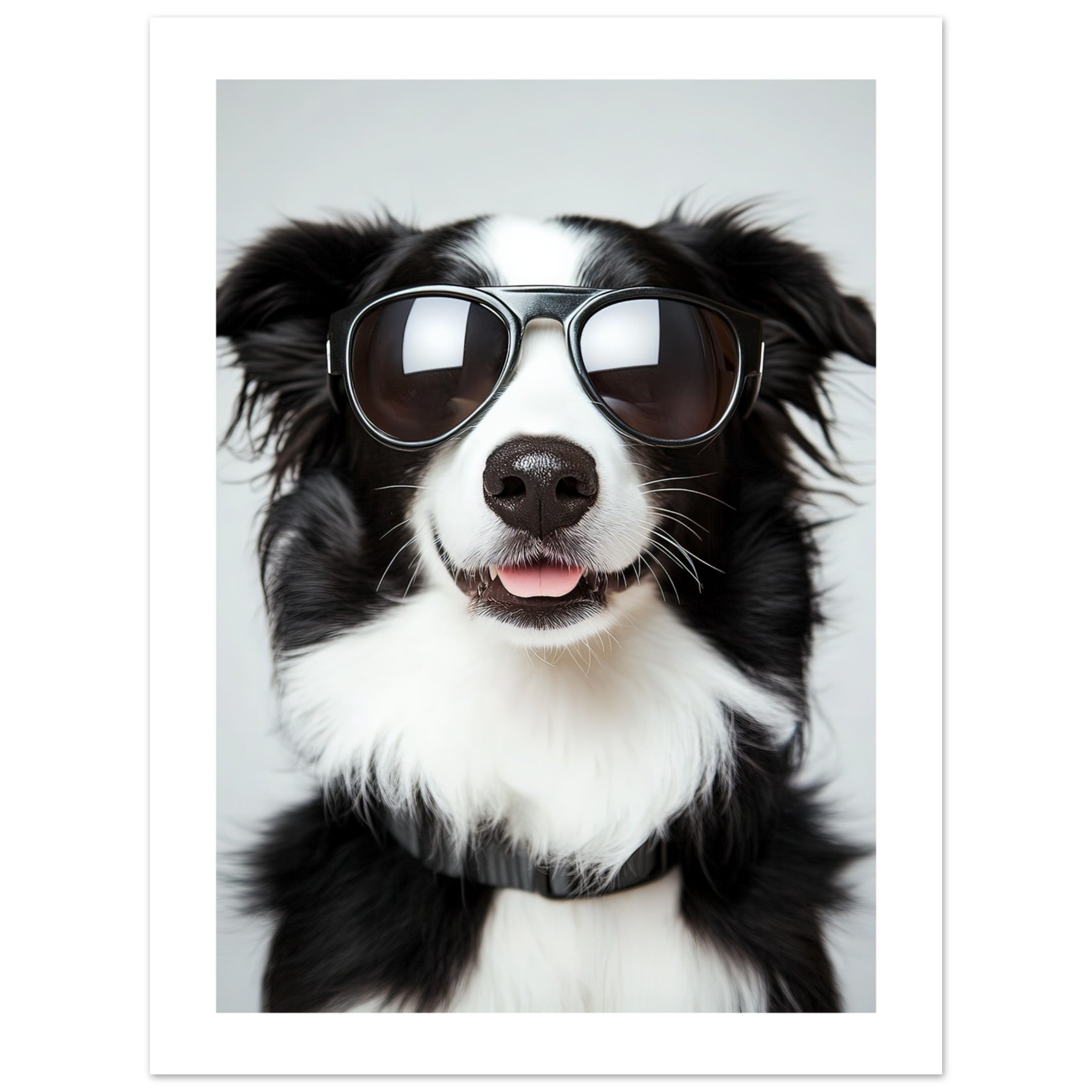 Border Collie Dog Wearing Pilot Sunglasses 3