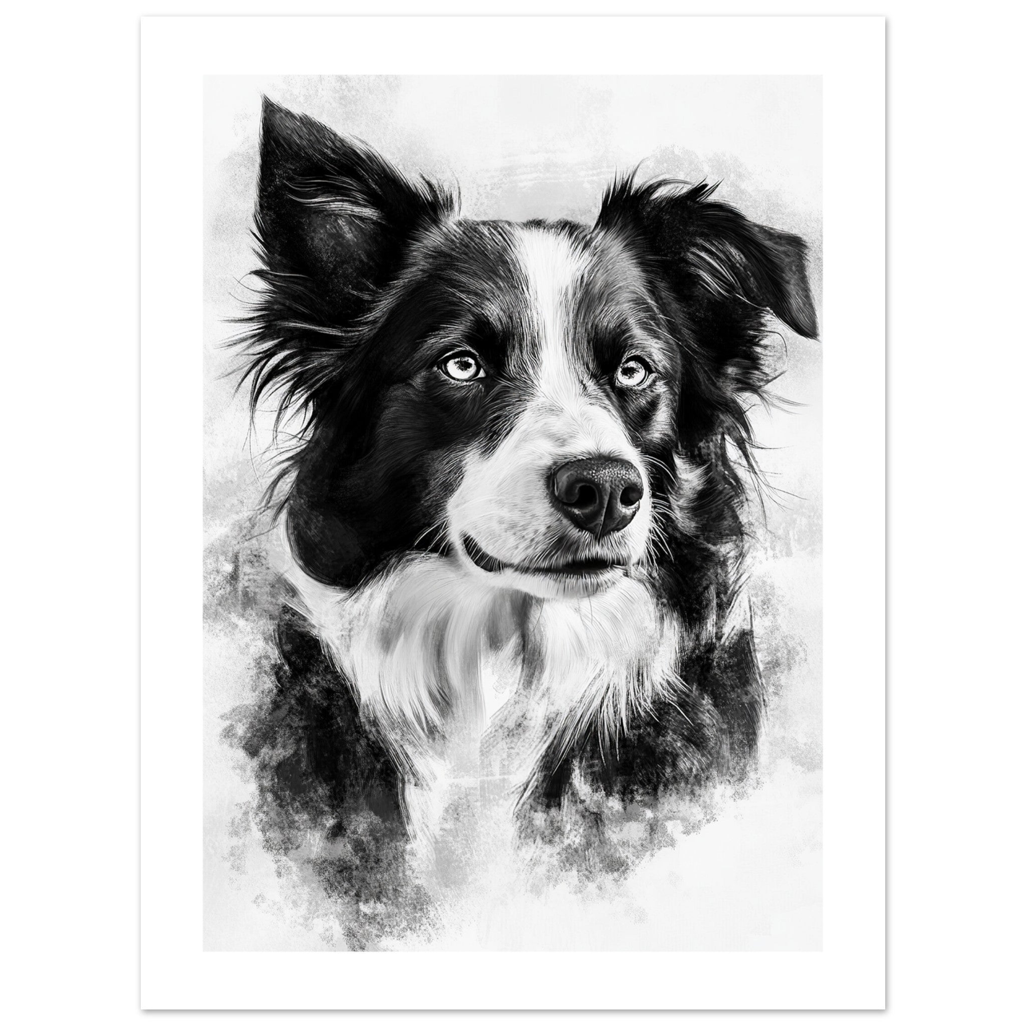 Border Collie Poster / Border Collie Art Work / Border Collie Print