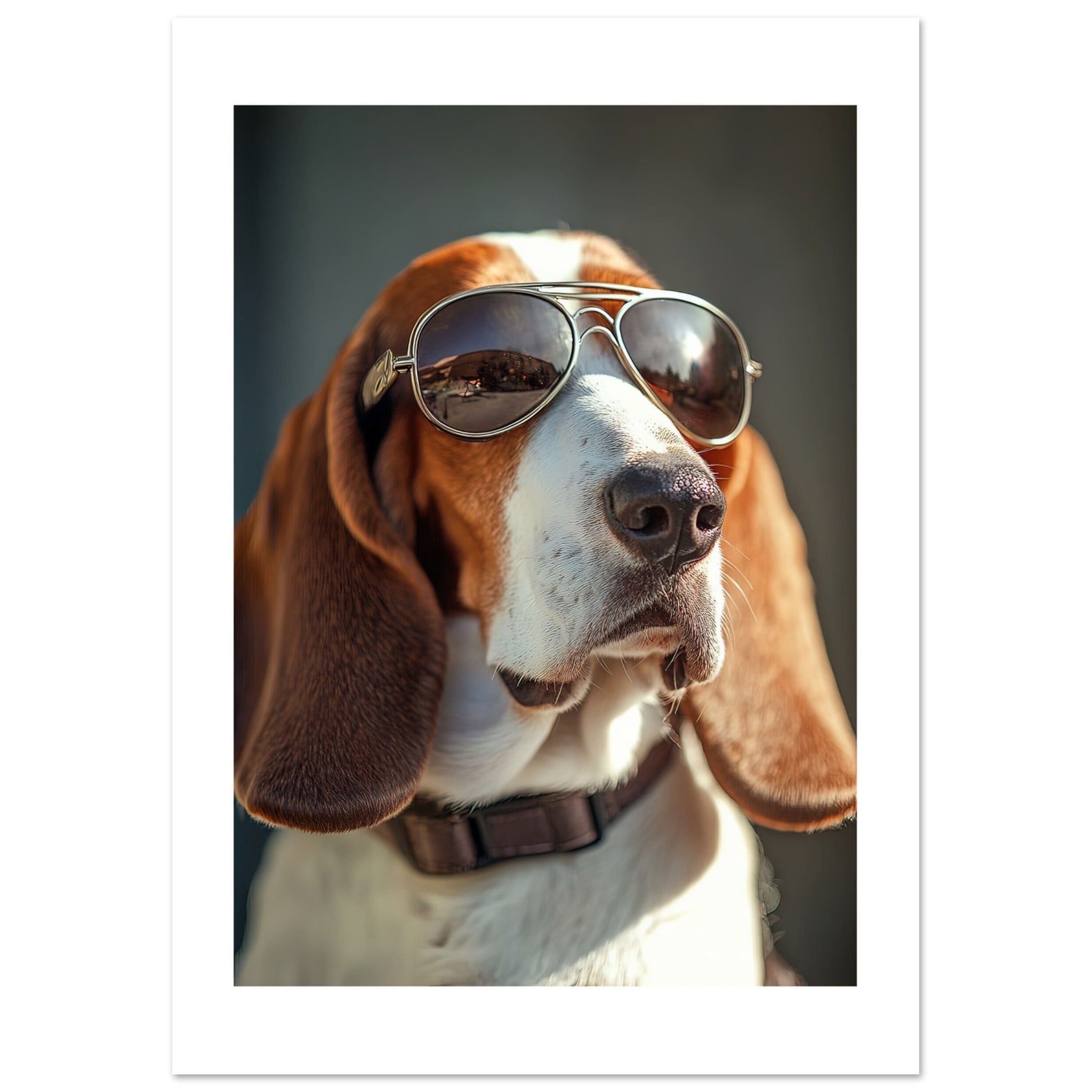 Basset Hound Dog Wearing Pilot Sunglasses 2