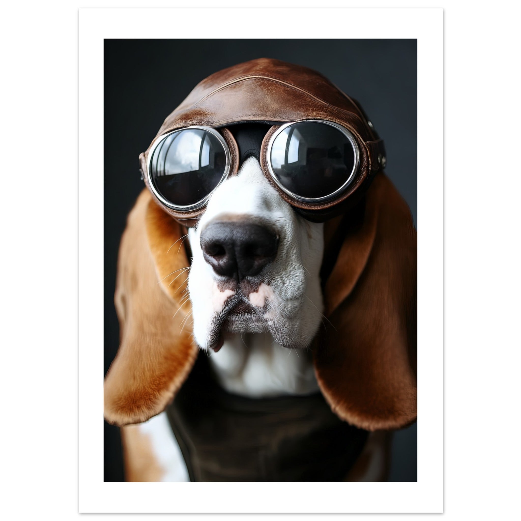 Basset Hound Dog Wearing Pilot Sunglasses