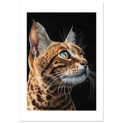 Bengal Cat Painted With Tone Pen 1