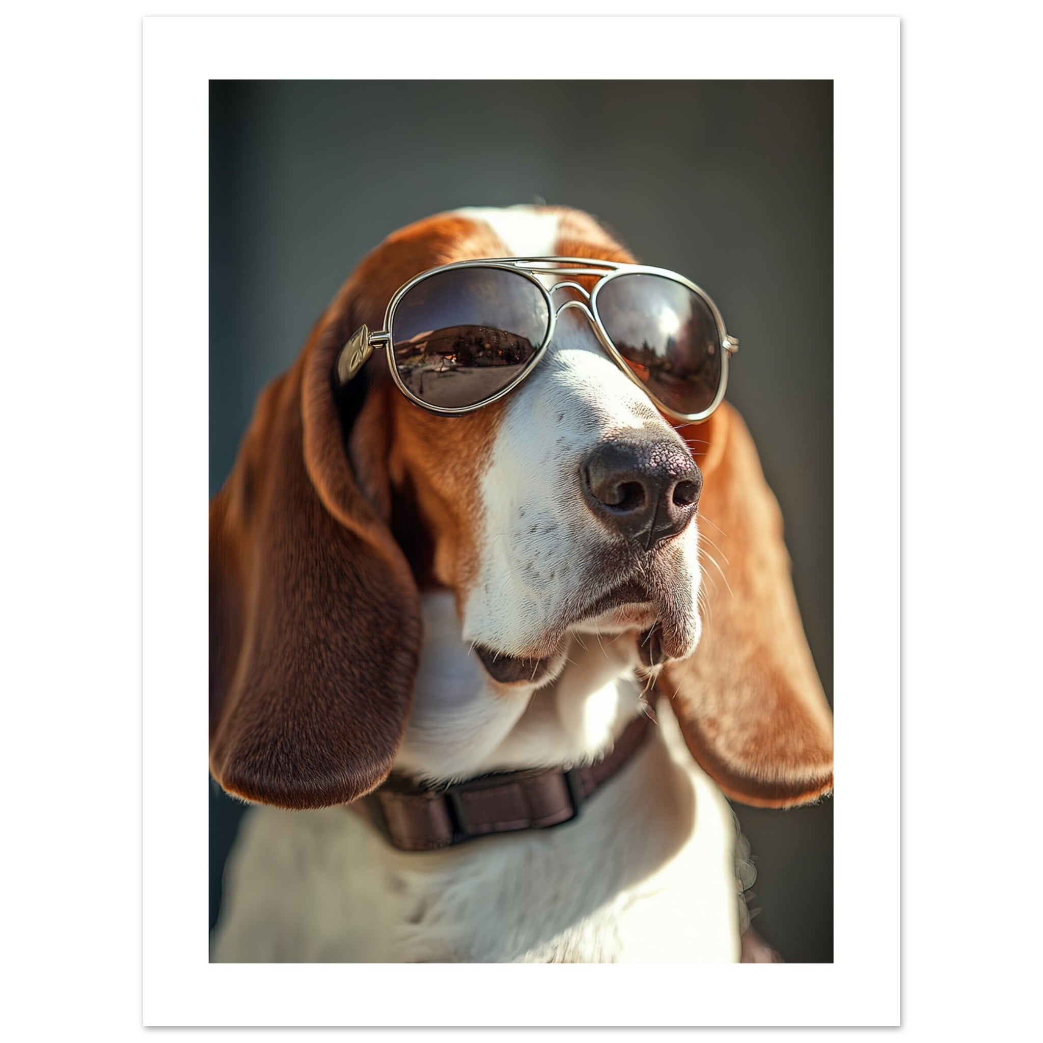 Basset Hound Dog Wearing Pilot Sunglasses 2