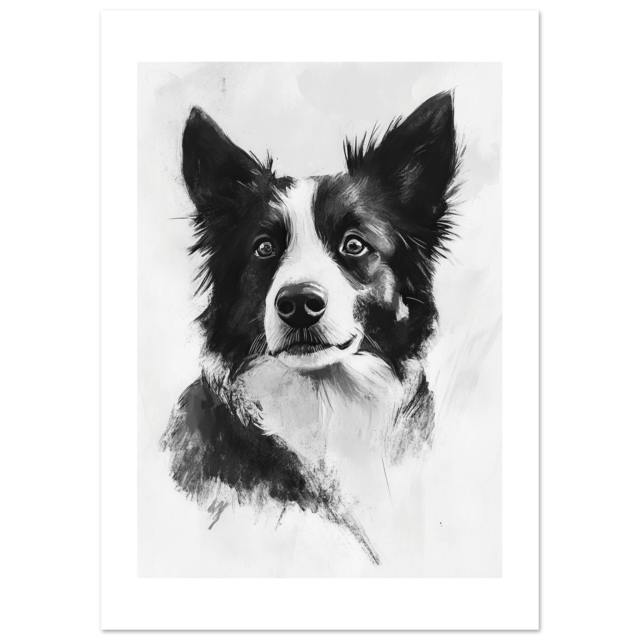 Border Collie Poster / Border Collie Art Work / Border Collie Print
