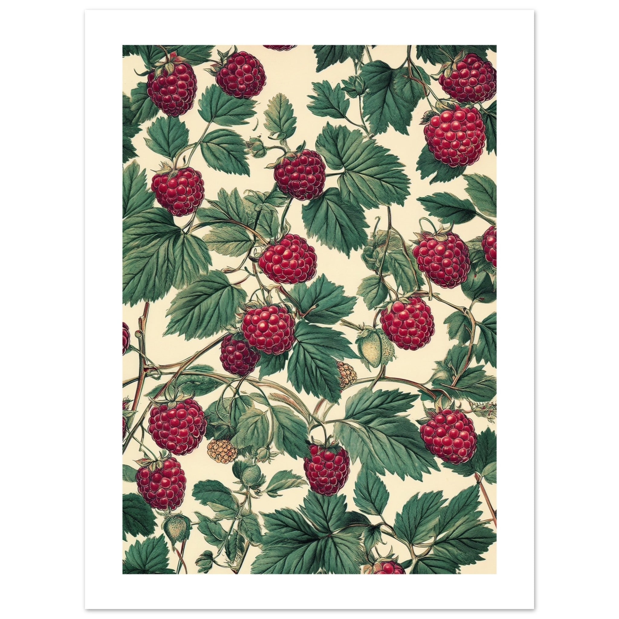 A pattern of Rasberries 1