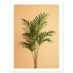Areca Palm Dypsis lutescens 1