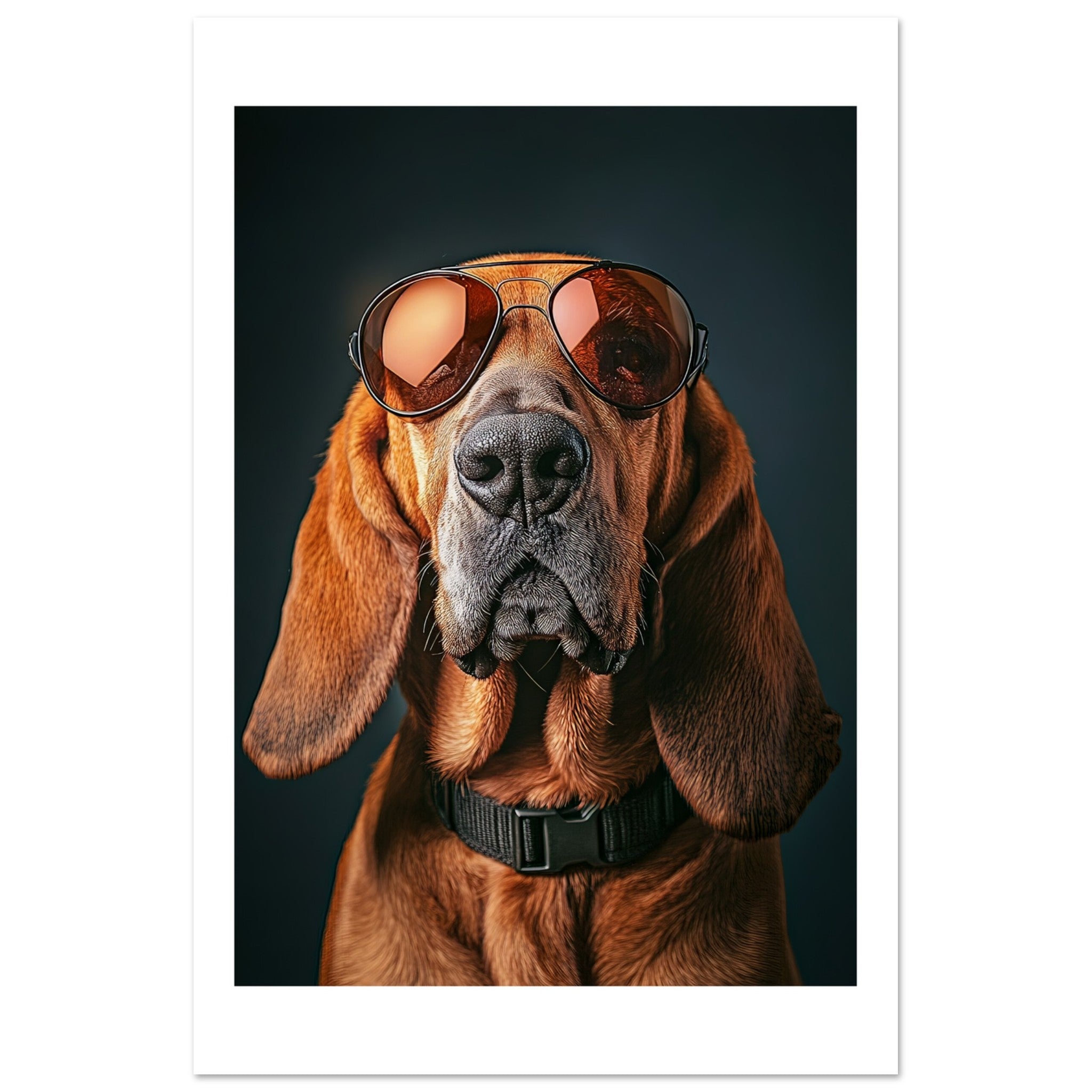 Bloodhound Dog Wearing Pilot Sunglasses