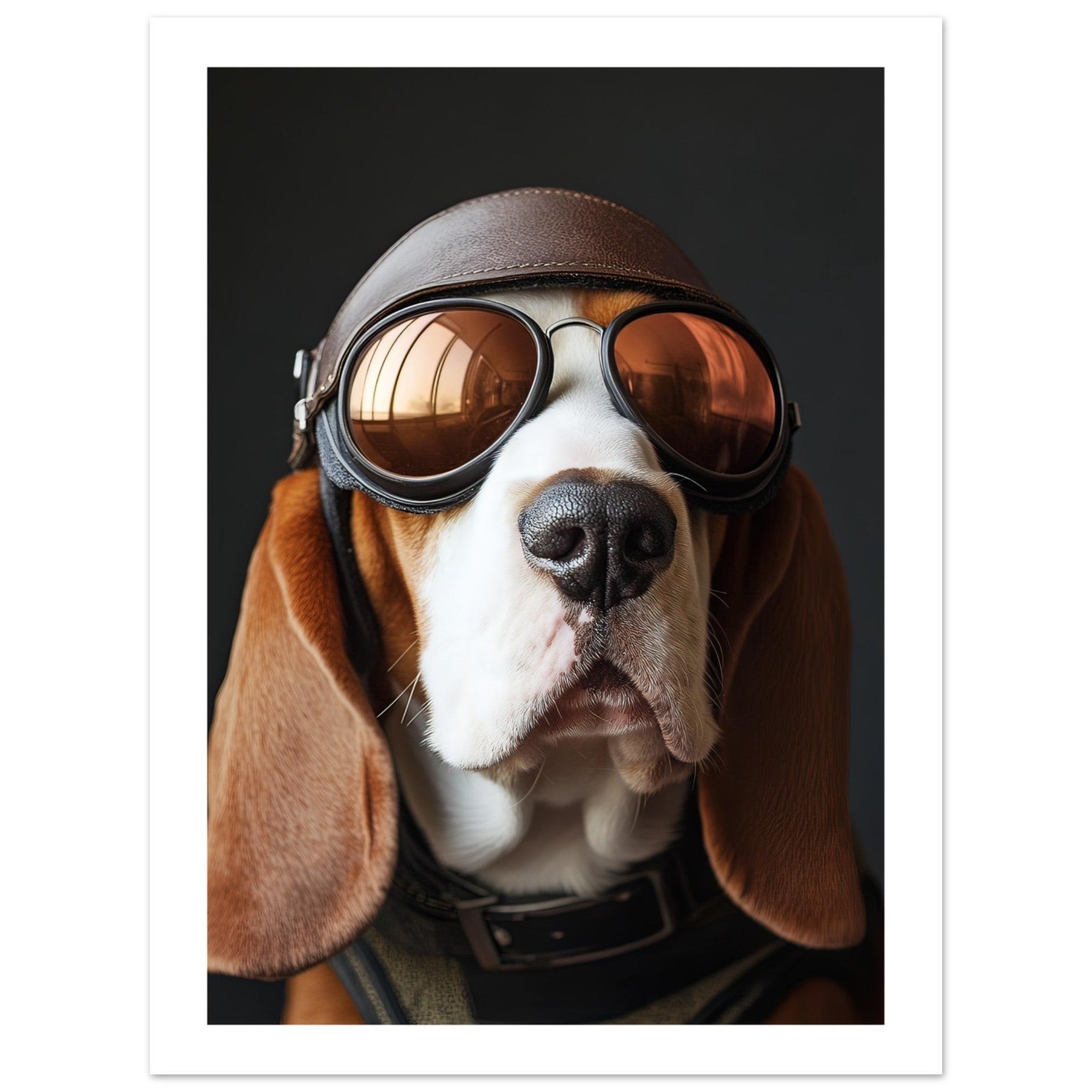 Basset Hound Dog Wearing Pilot Sunglasses 1