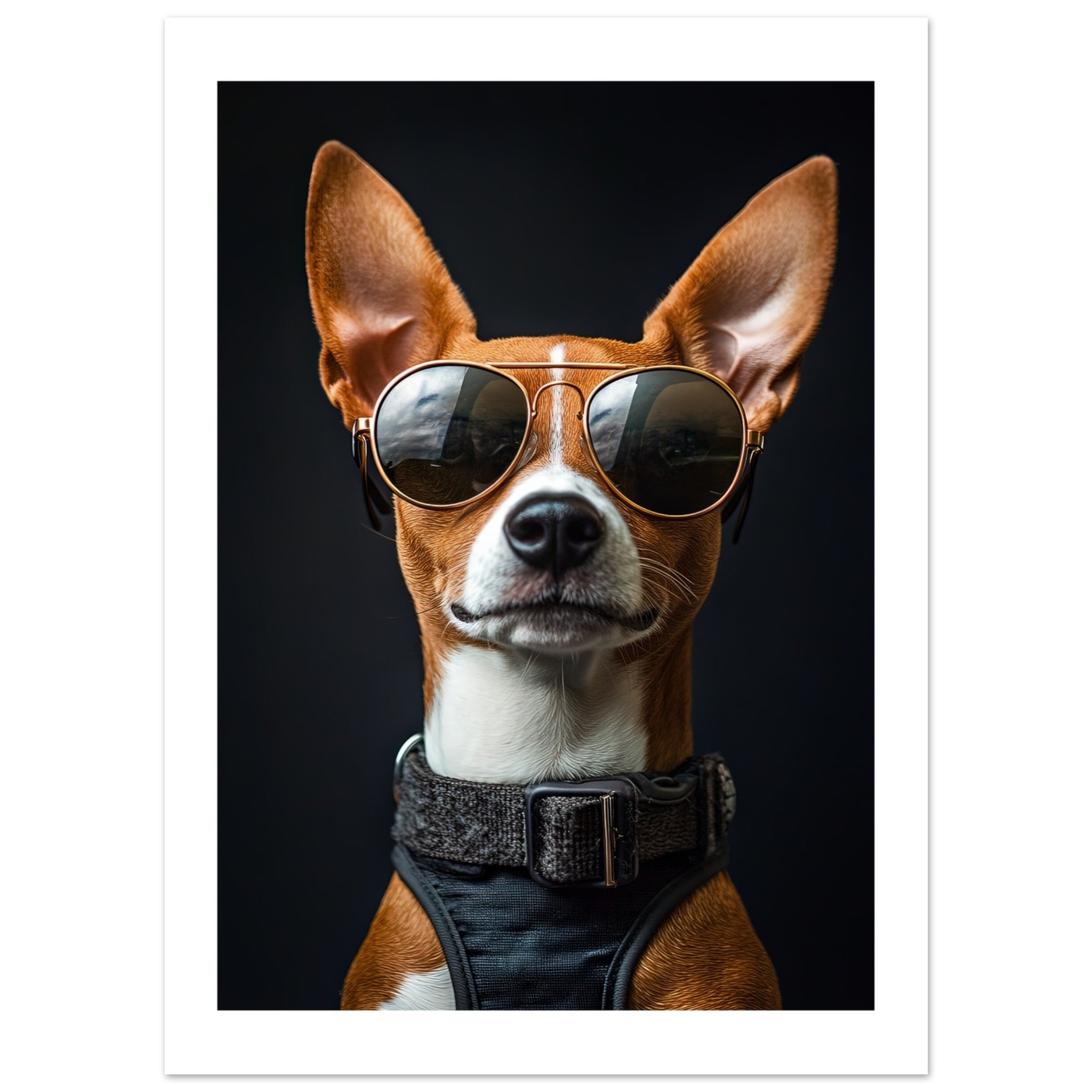 Basenji Dog Wearing Pilot Sunglasses
