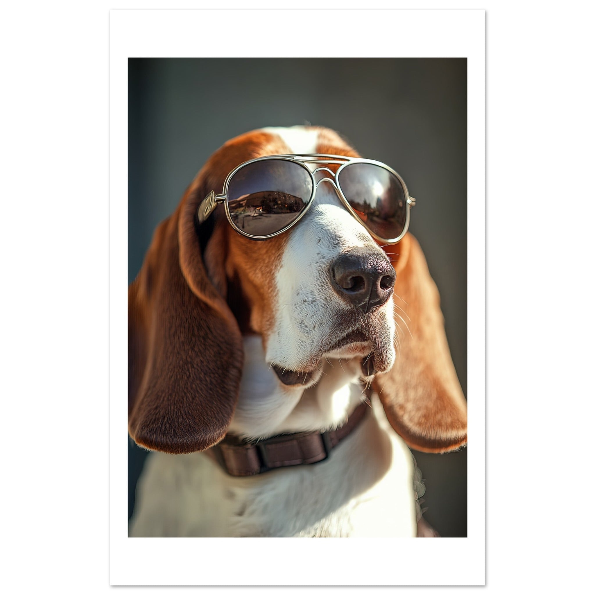 Basset Hound Dog Wearing Pilot Sunglasses 2