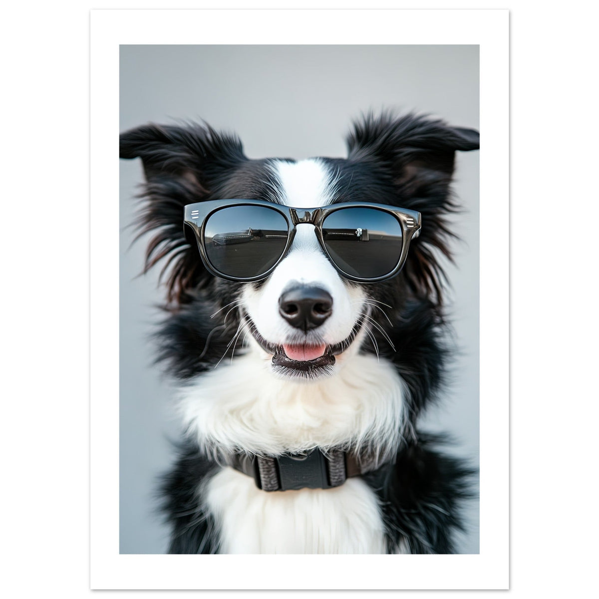 Border Collie Dog Wearing Pilot Sunglasses 1