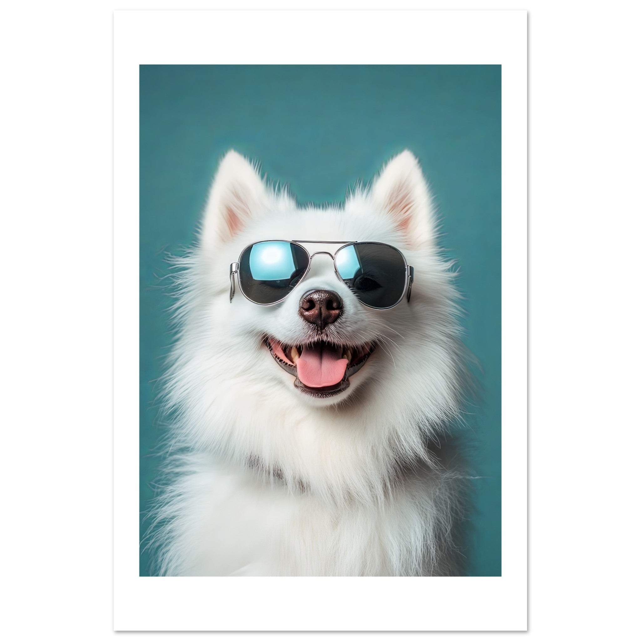American Eskimo Dog Wearing Pilot Sunglasses