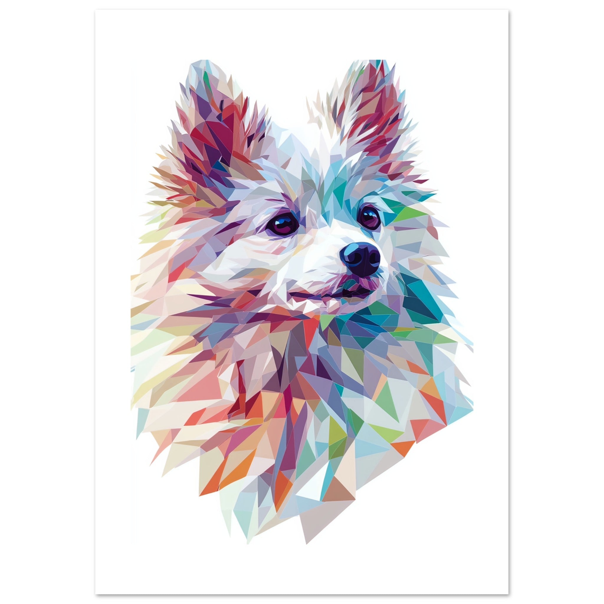 American Eskimo Dog Illustrated with Colorful Triangles
