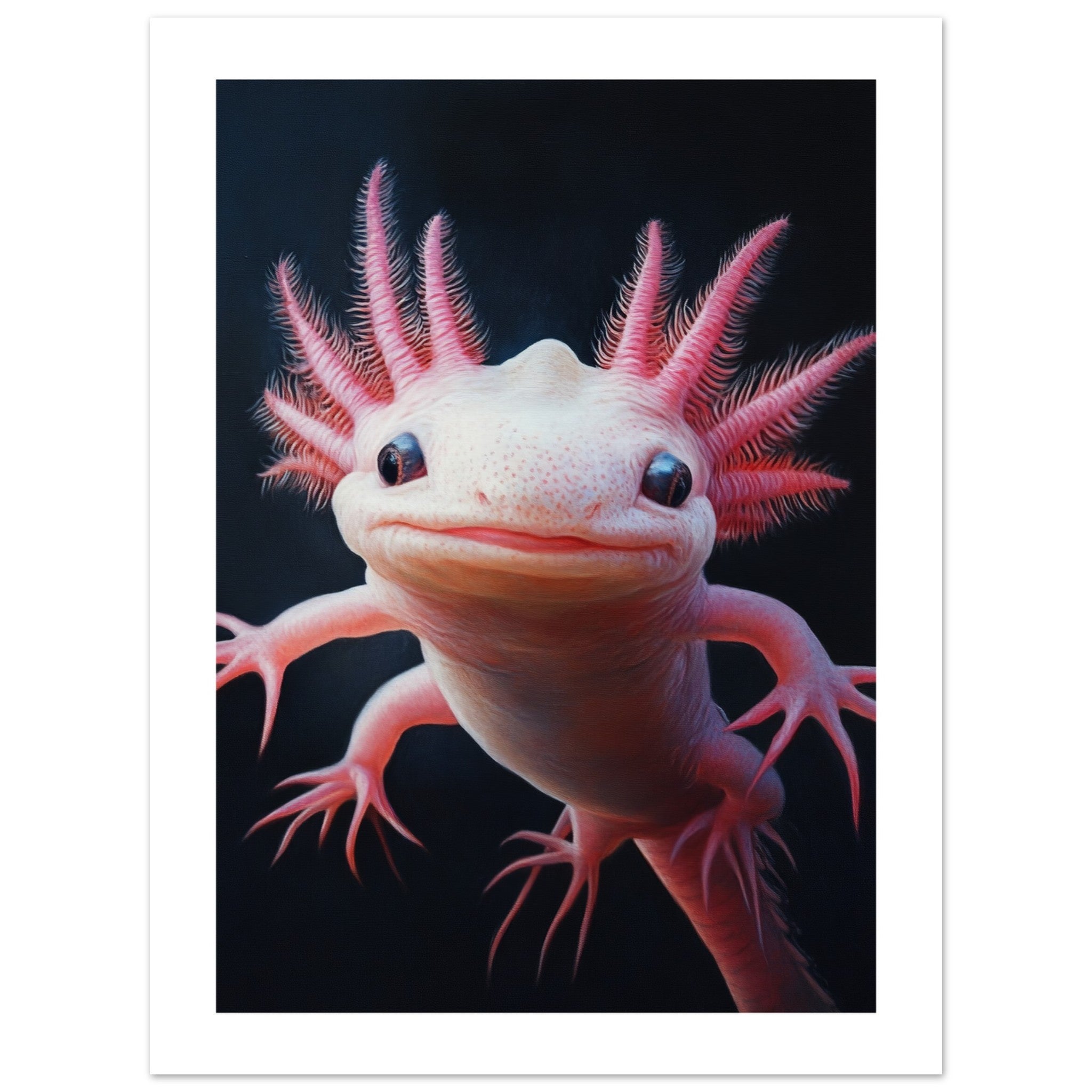 Axolotl portrait 1