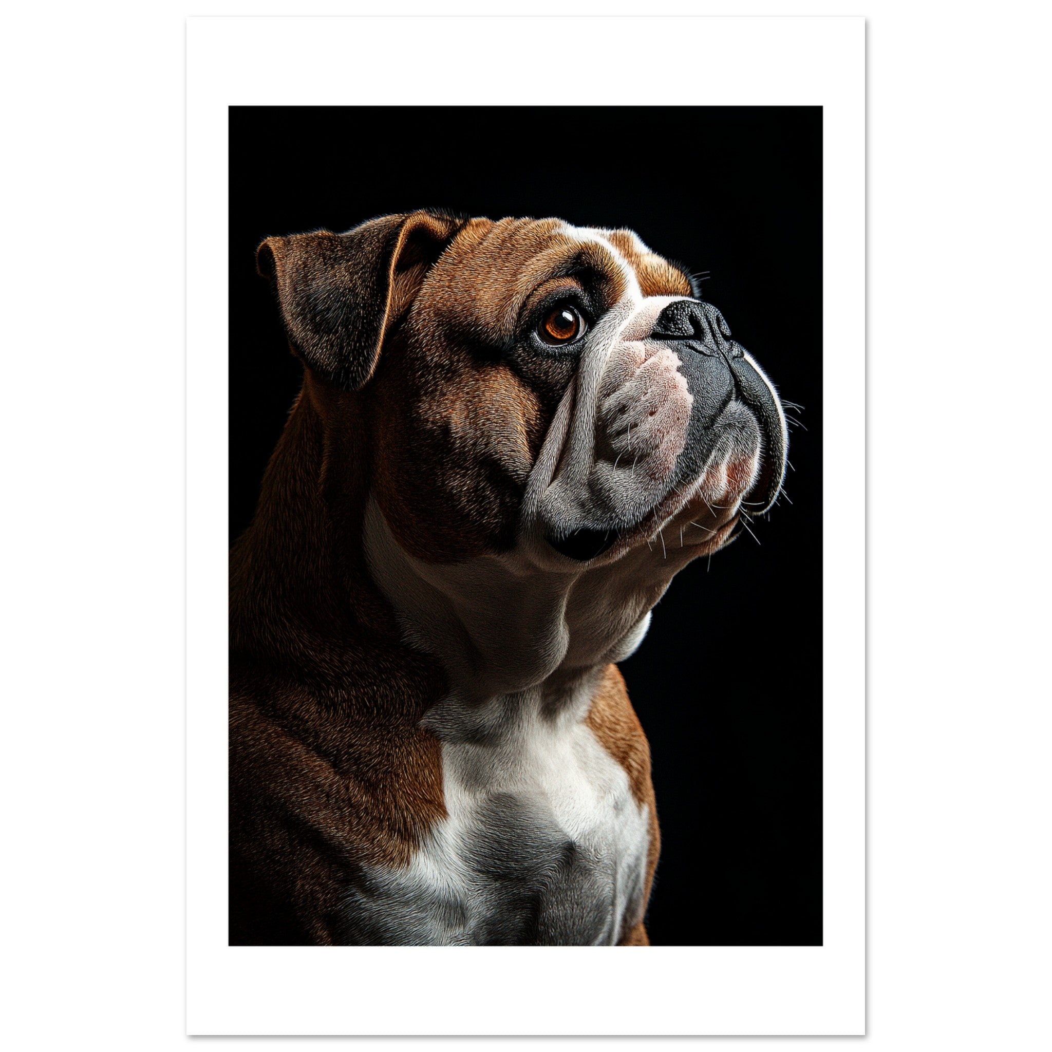 Bulldog Poster / Bulldog Art Work / Bulldog Print