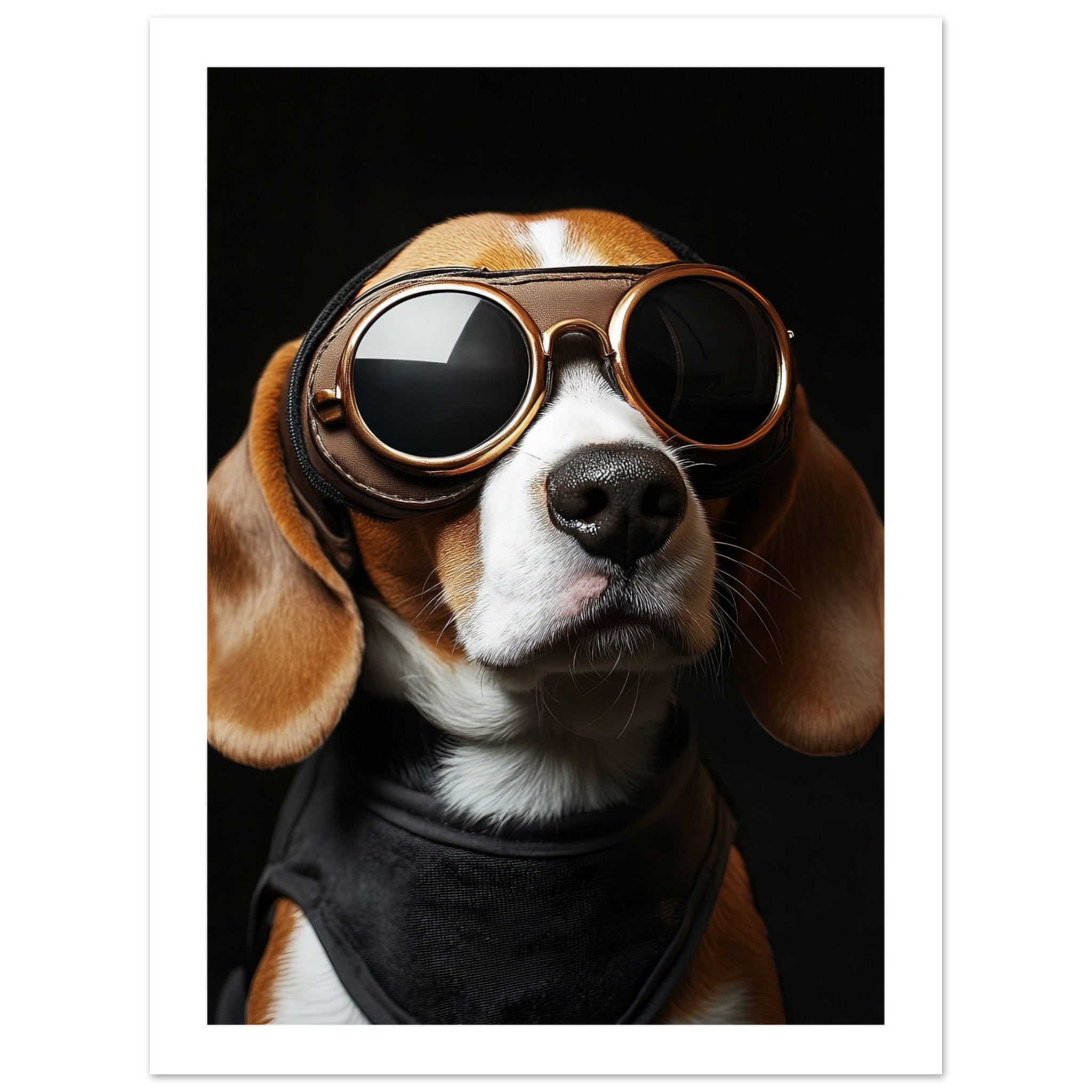 Beagle Dog Wearing Pilot Sunglasses