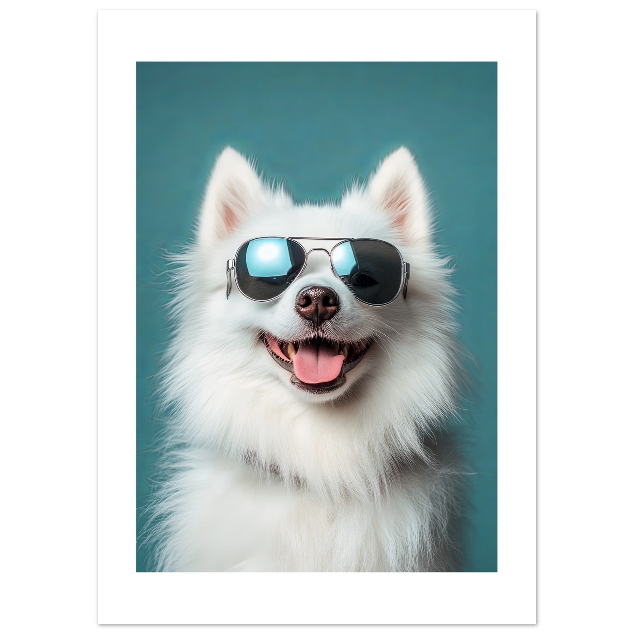 American Eskimo Dog Wearing Pilot Sunglasses