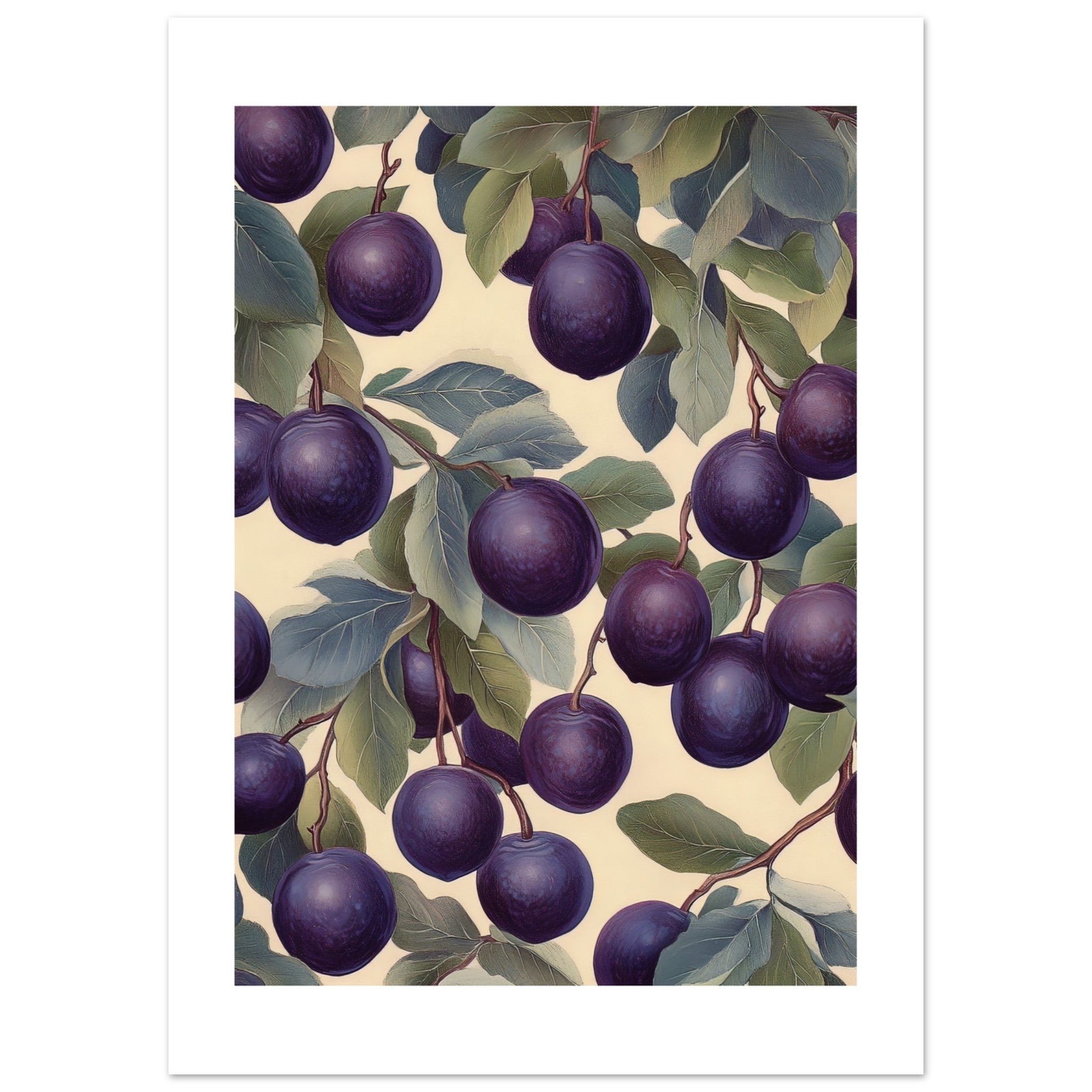 A pattern of Plums 1