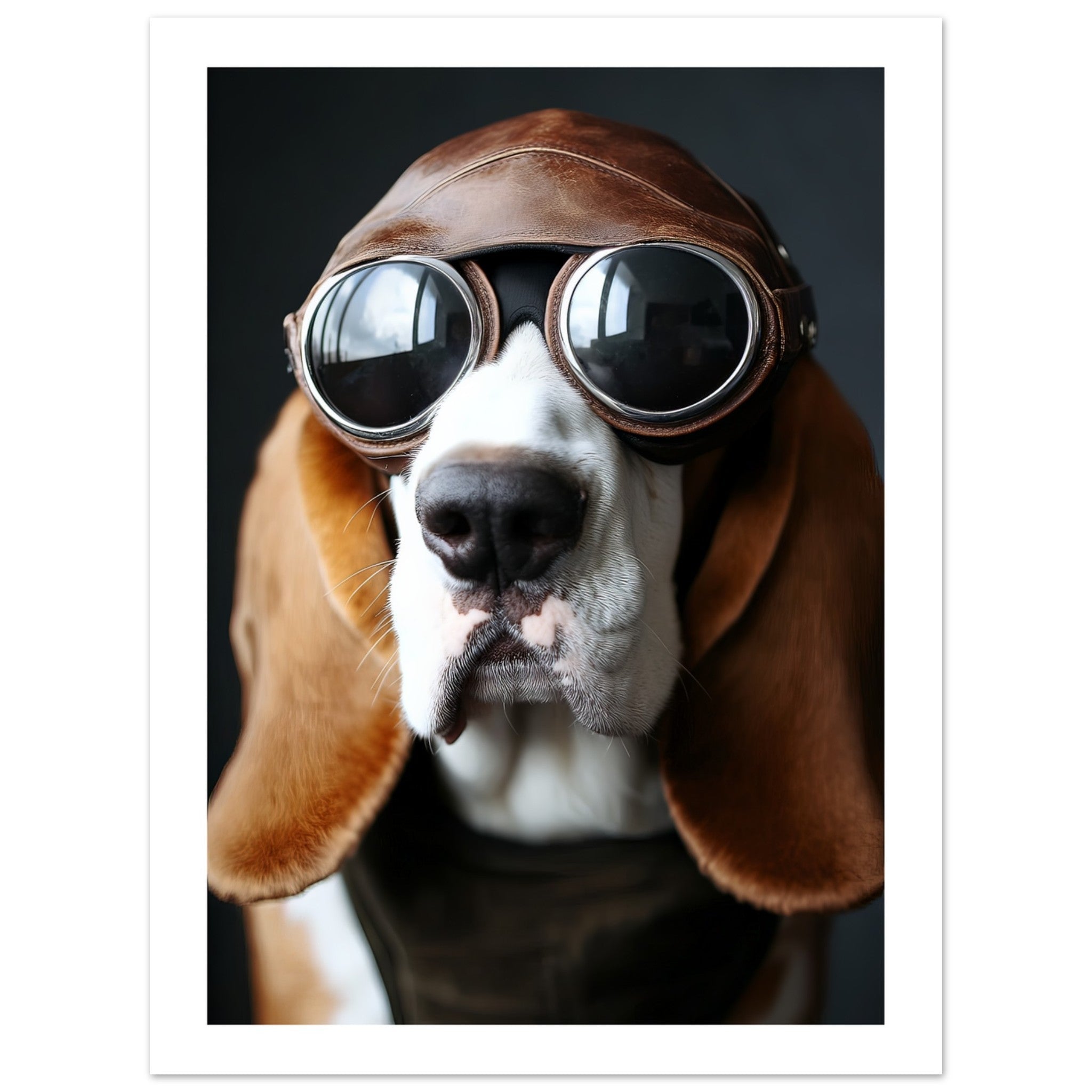 Basset Hound Dog Wearing Pilot Sunglasses