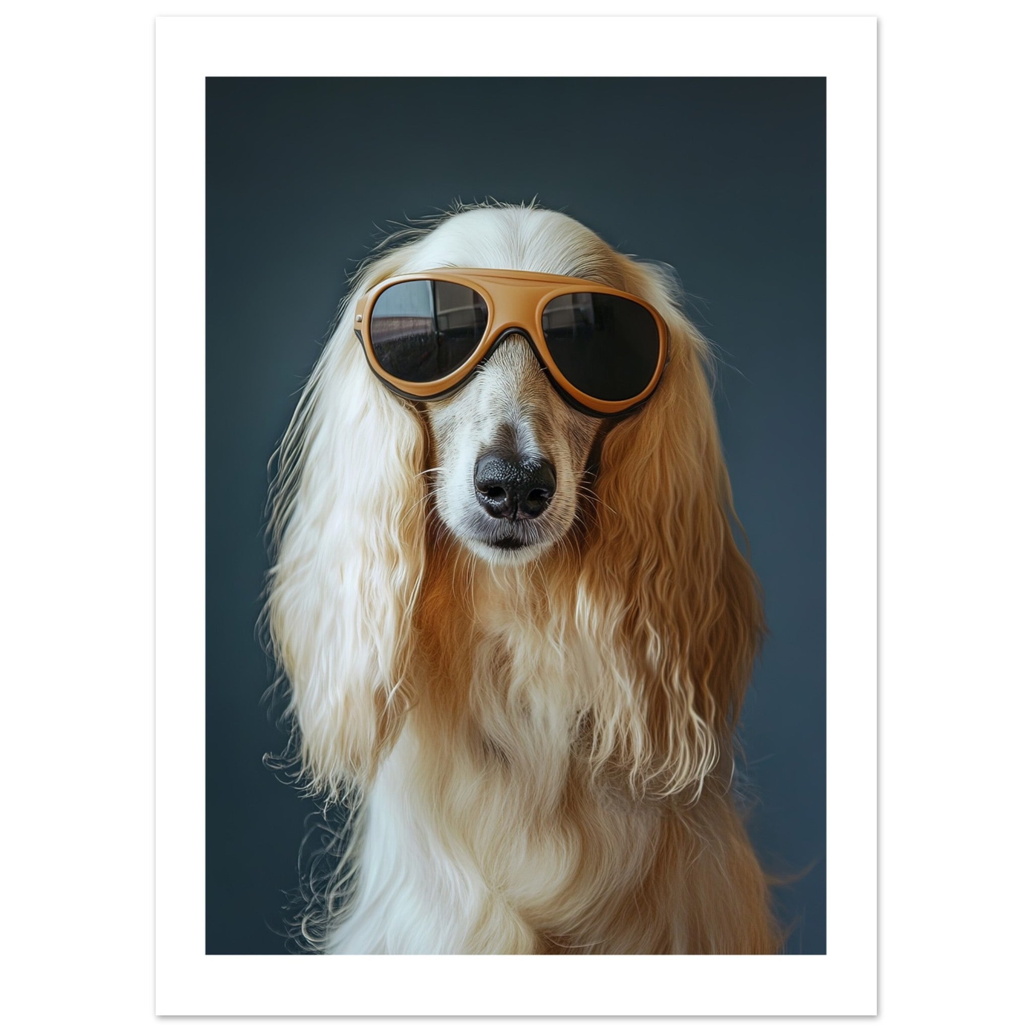 Afghan Hound Dog Wearing Pilot Sunglasses