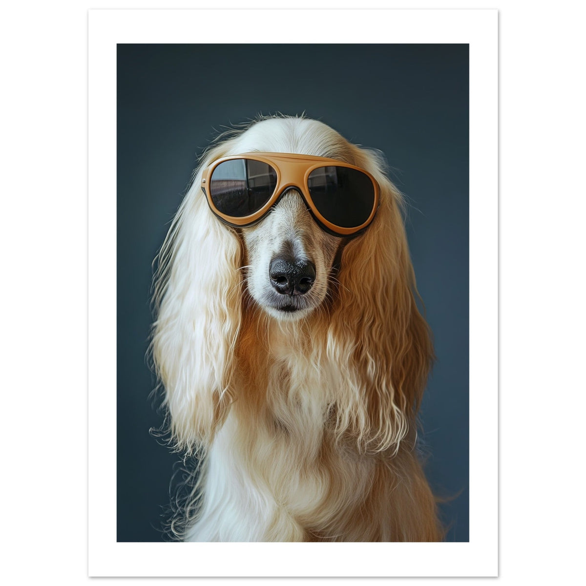 Afghan Hound Dog Wearing Pilot Sunglasses