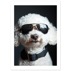 Bichon Frise Dog Wearing Pilot Sunglasses 1