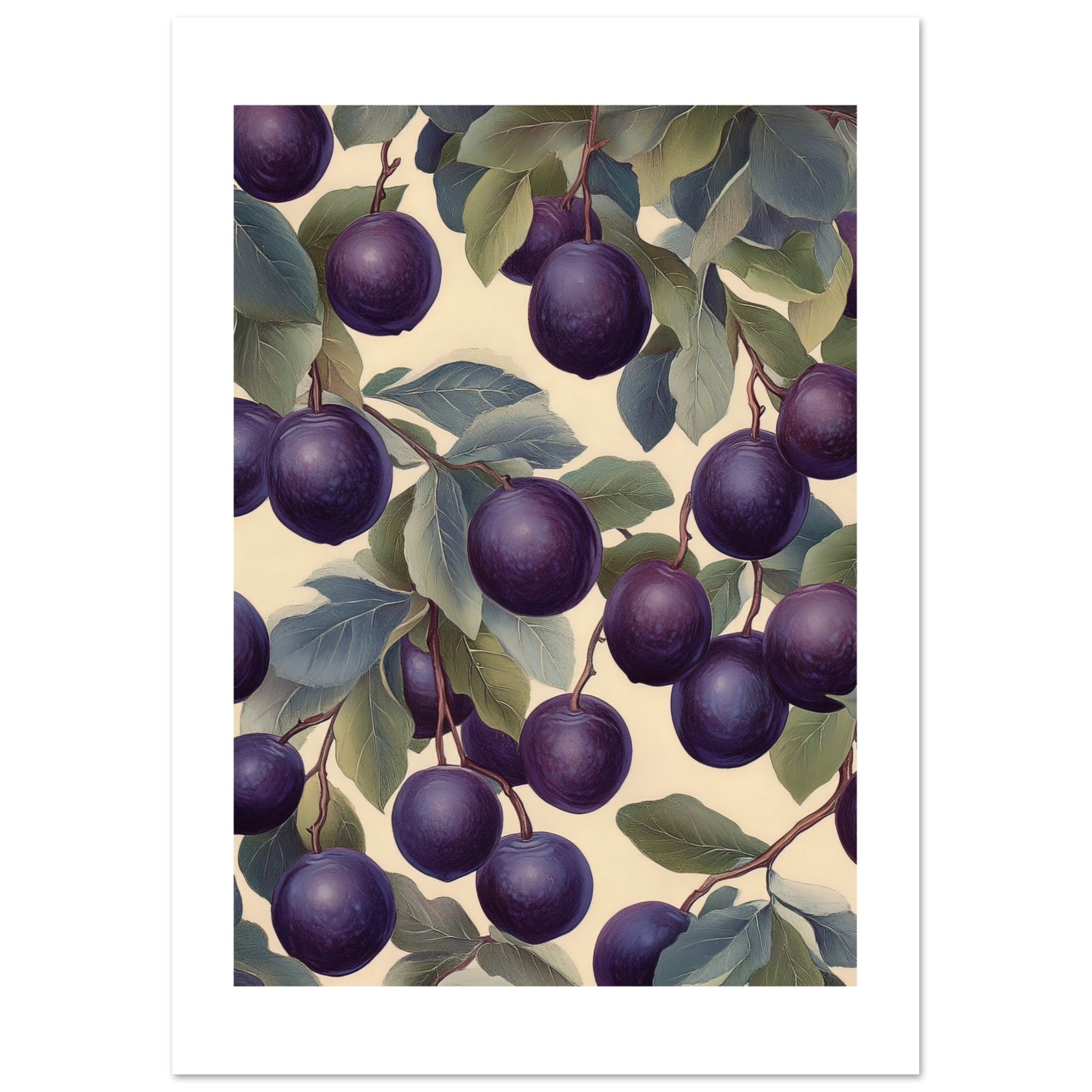 A pattern of Plums 1