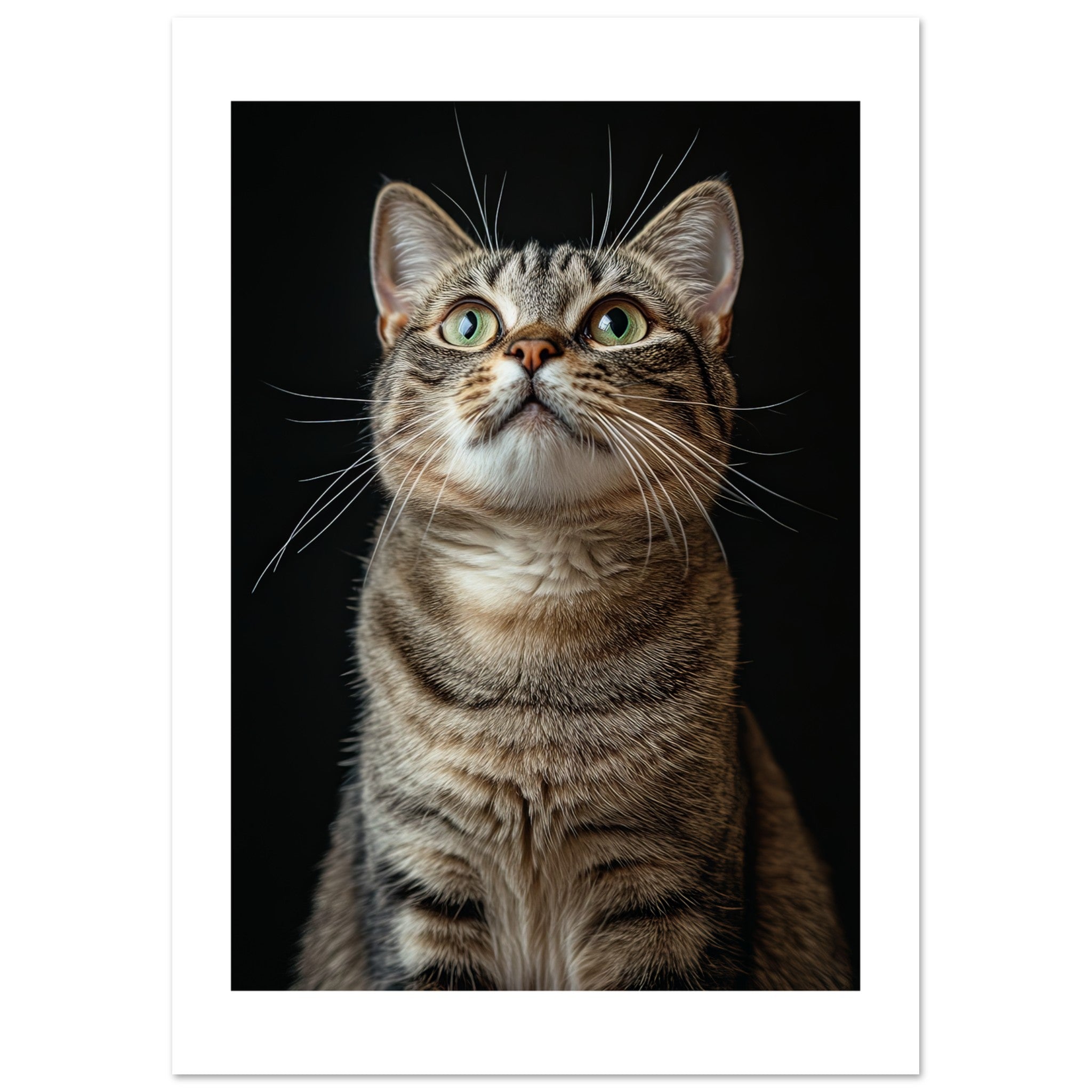 American Shorthair Cat Painted With Tone Pen 1