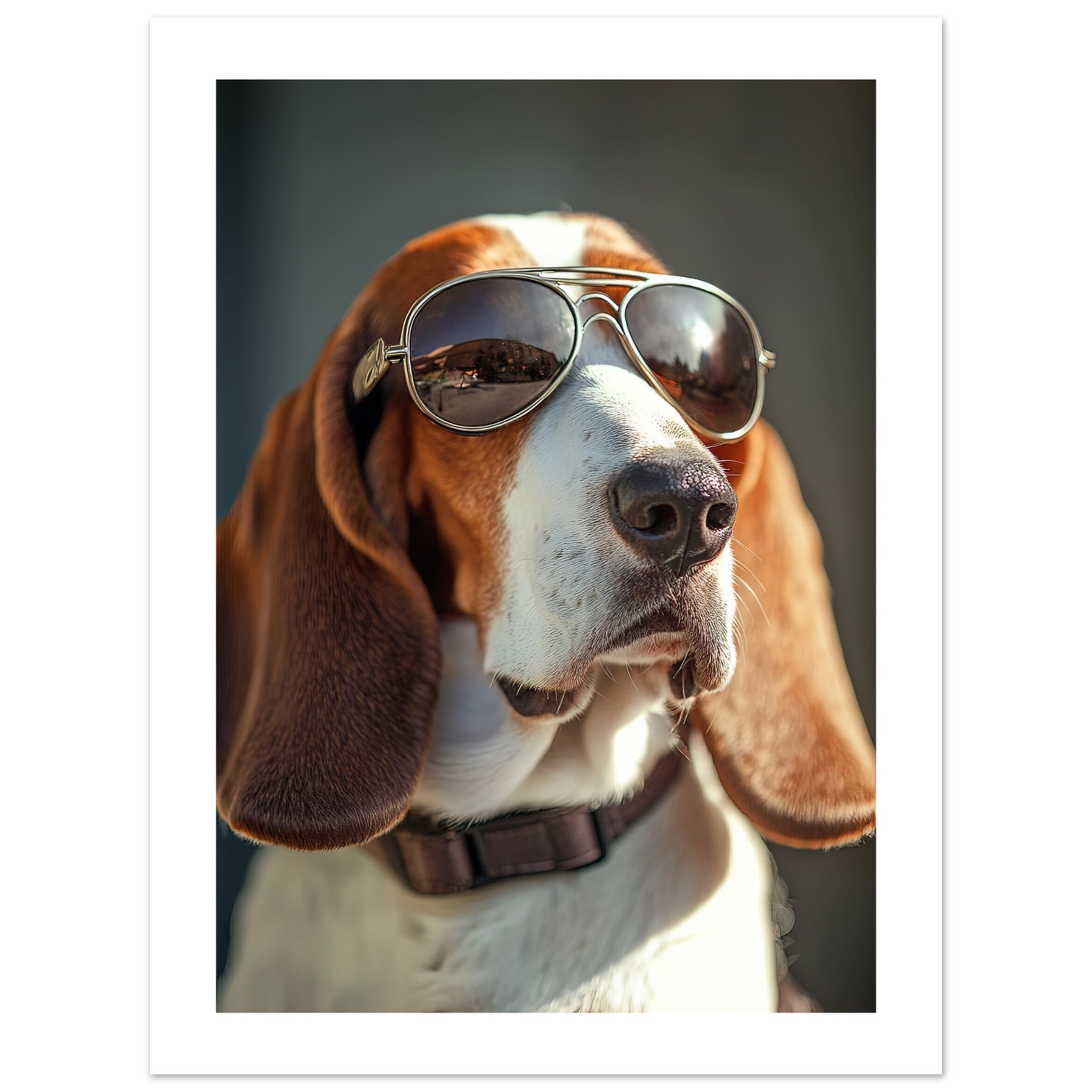 Basset Hound Dog Wearing Pilot Sunglasses 2