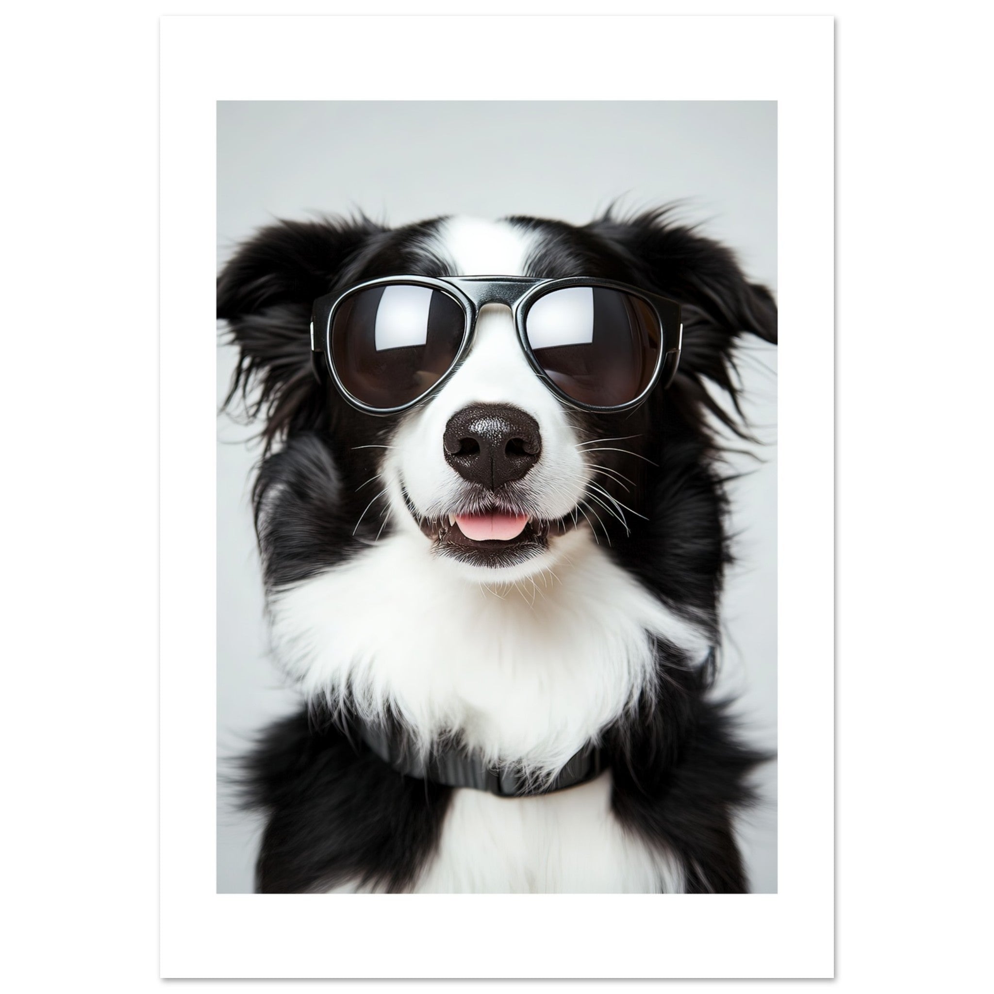Border Collie Dog Wearing Pilot Sunglasses 3