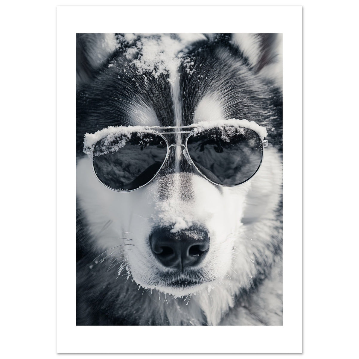 Alaskan Malamute Dog Wearing Pilot Sunglasses