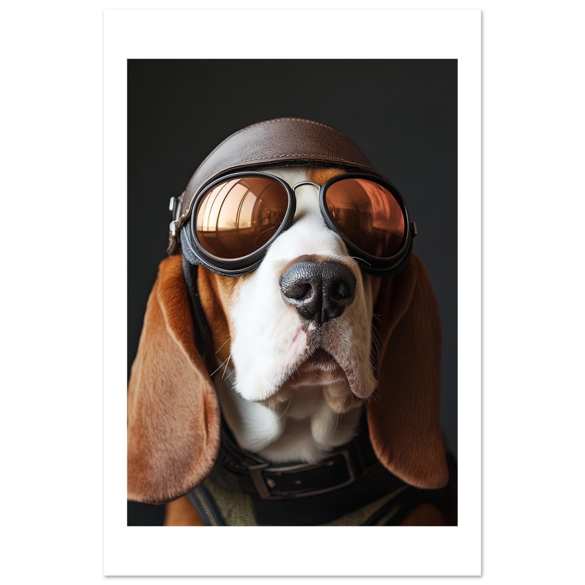 Basset Hound Dog Wearing Pilot Sunglasses 1
