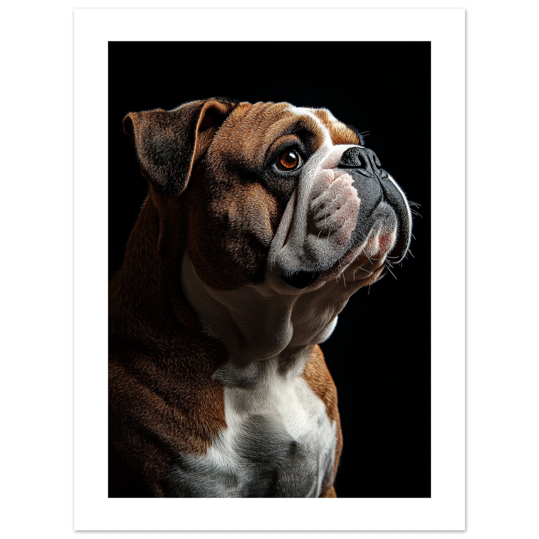 Bulldog Poster / Bulldog Art Work / Bulldog Print