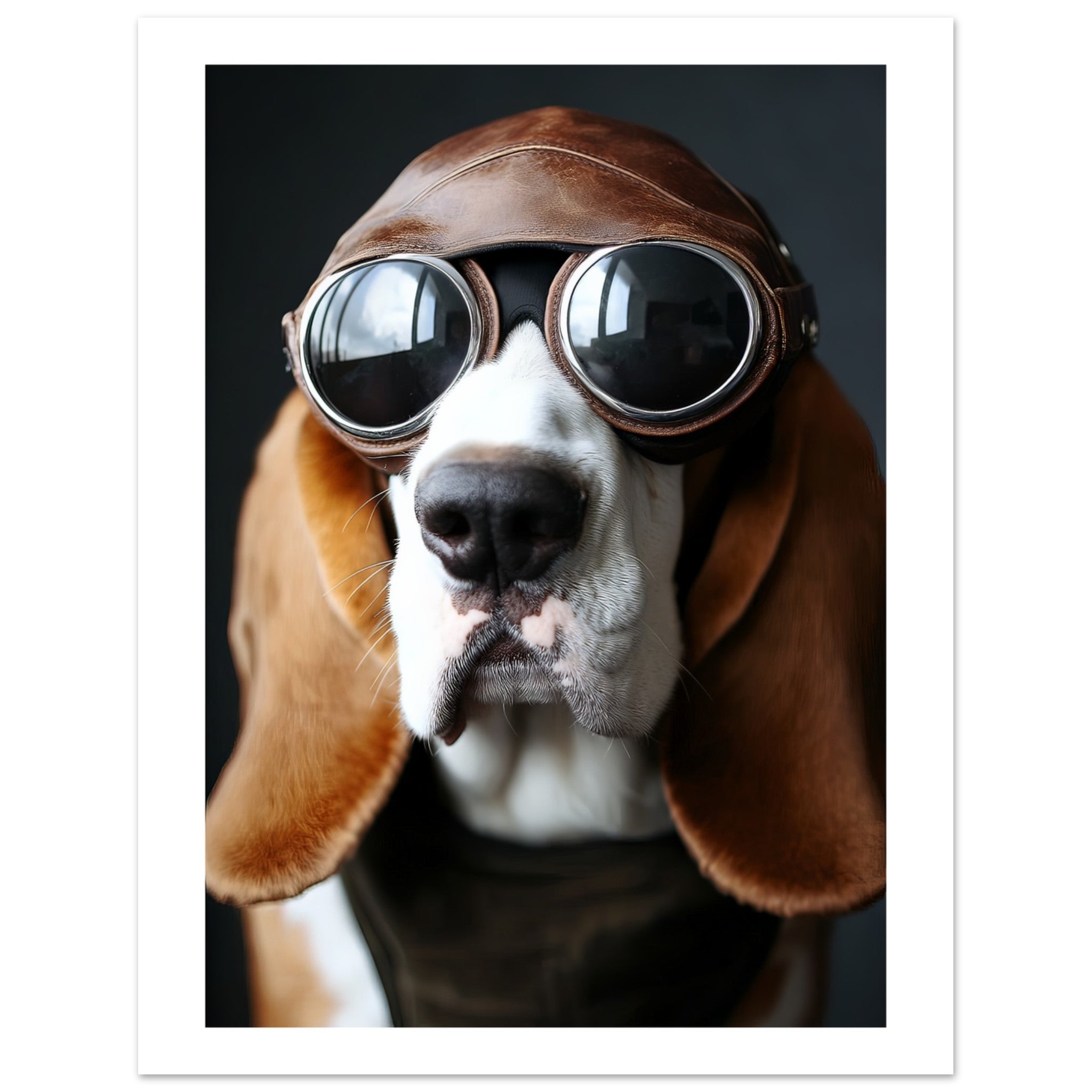 Basset Hound Dog Wearing Pilot Sunglasses