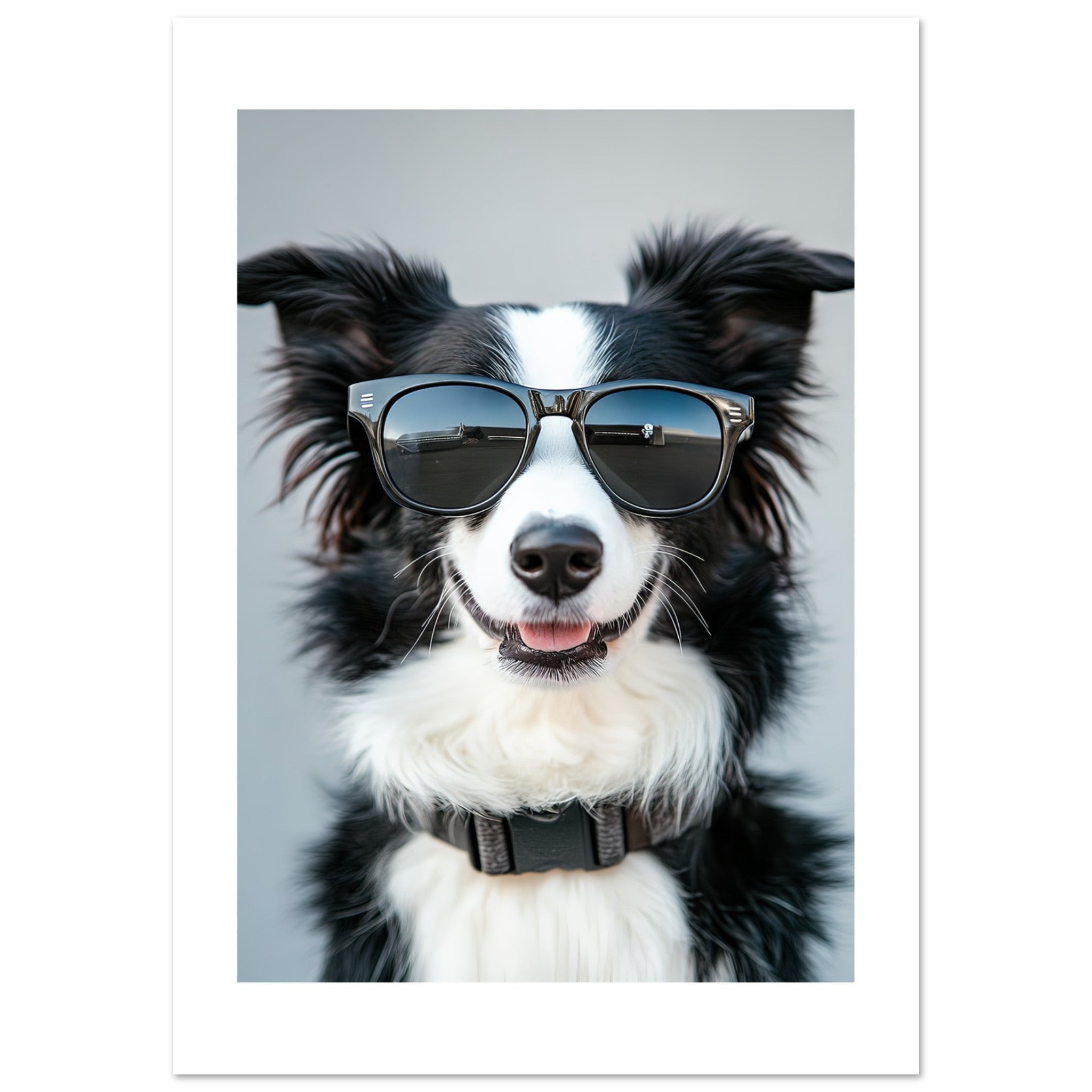 Border Collie Dog Wearing Pilot Sunglasses 1