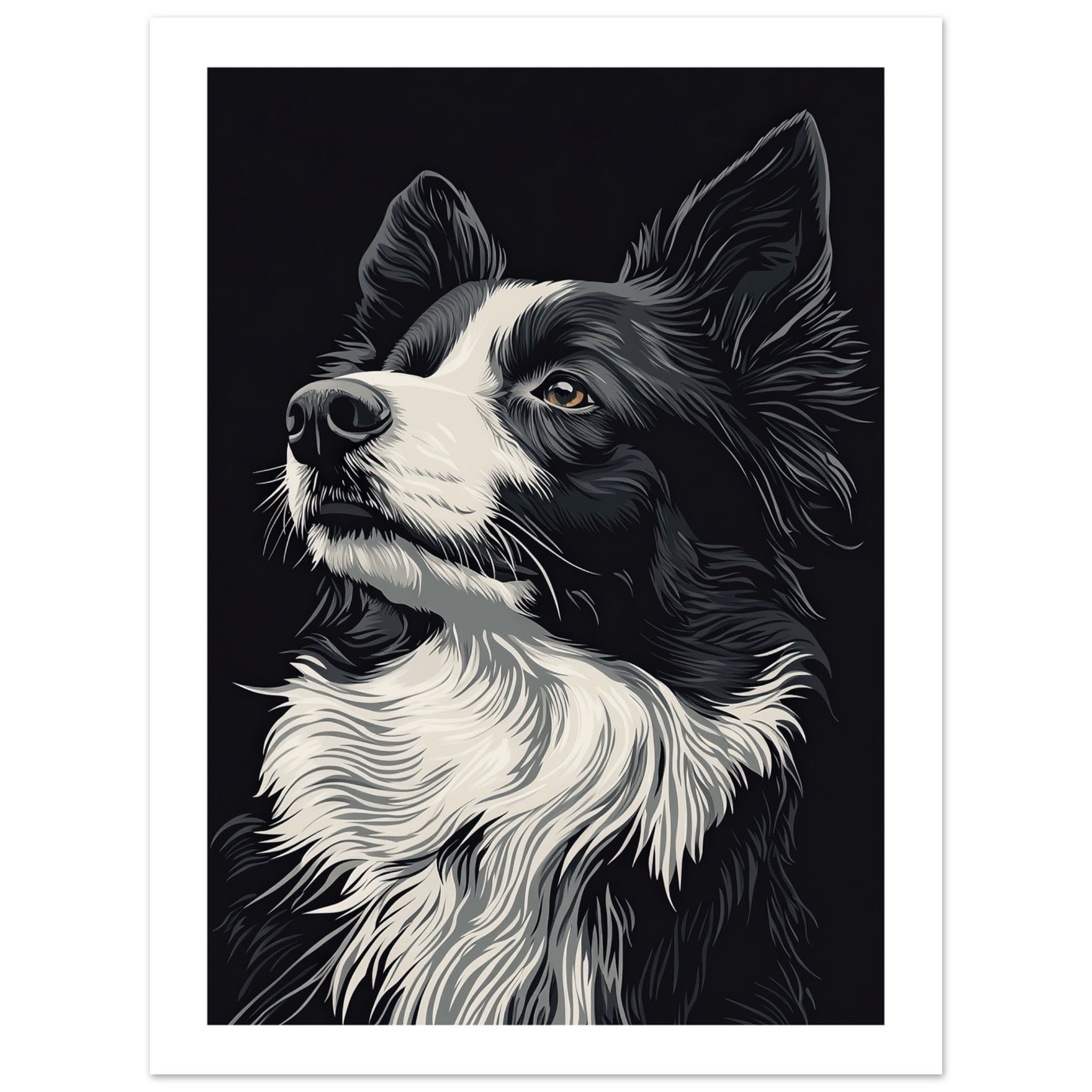 Border Collie Poster / Border Collie Art Work / Border Collie Print