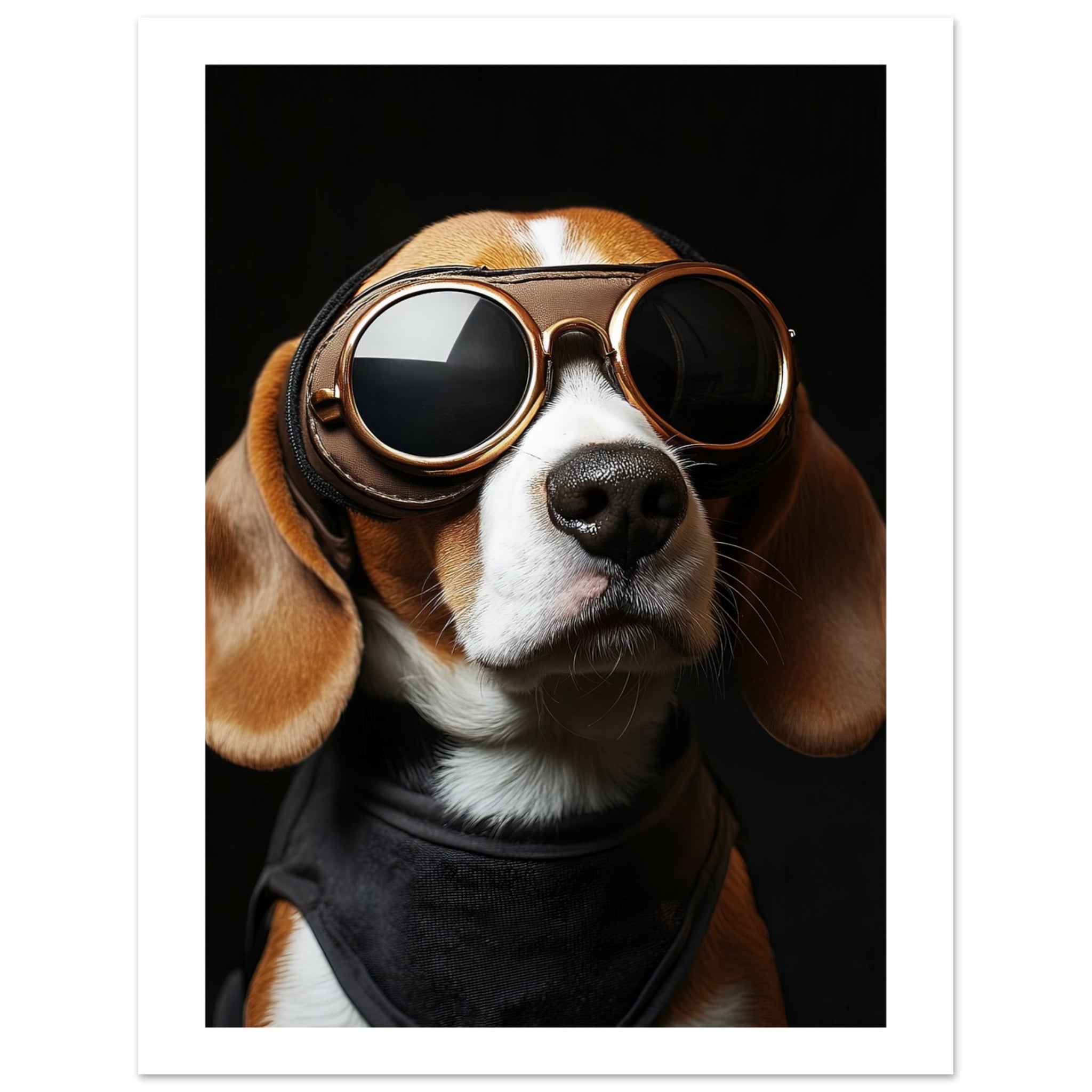 Beagle Dog Wearing Pilot Sunglasses