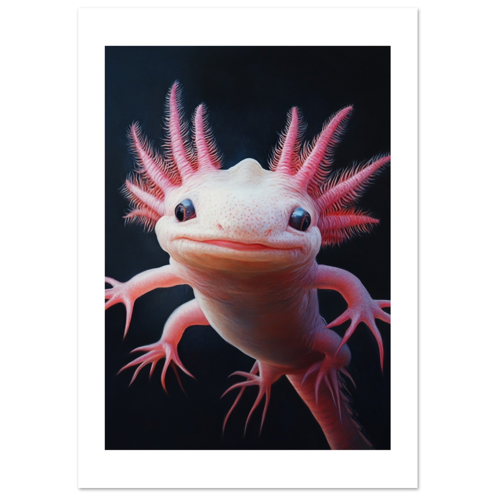 Axolotl portrait 1