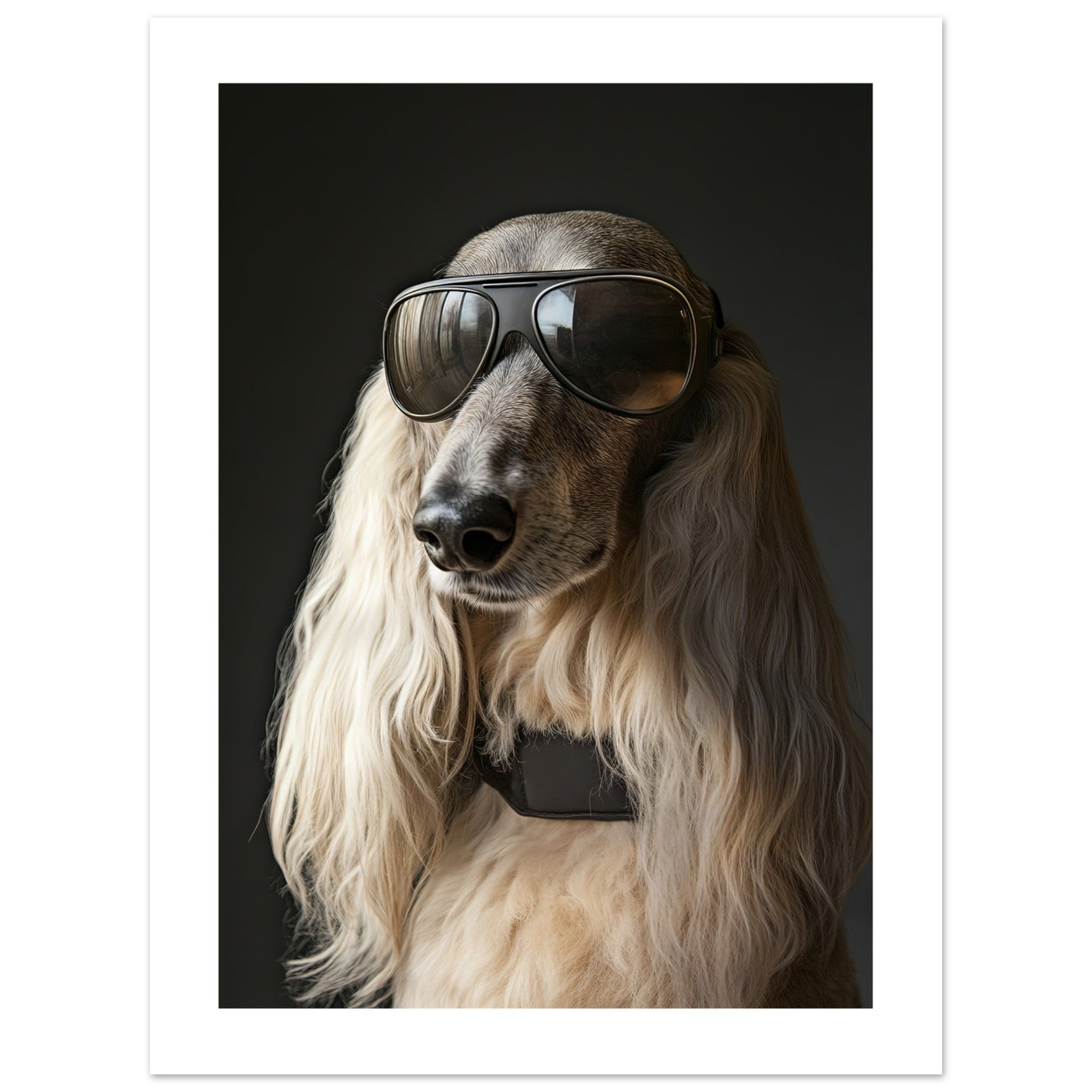 Afghan Hound Dog Wearing Pilot Sunglasses 1
