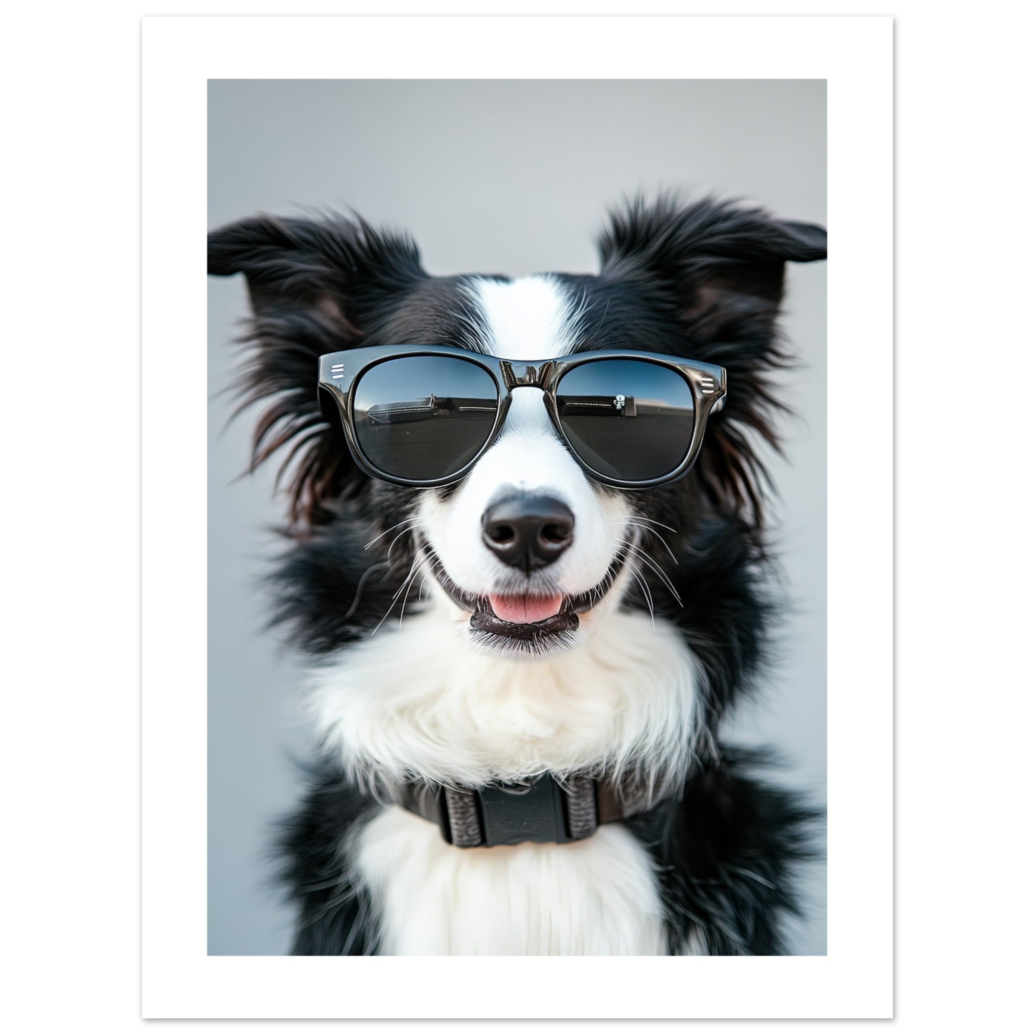 Border Collie Dog Wearing Pilot Sunglasses 1