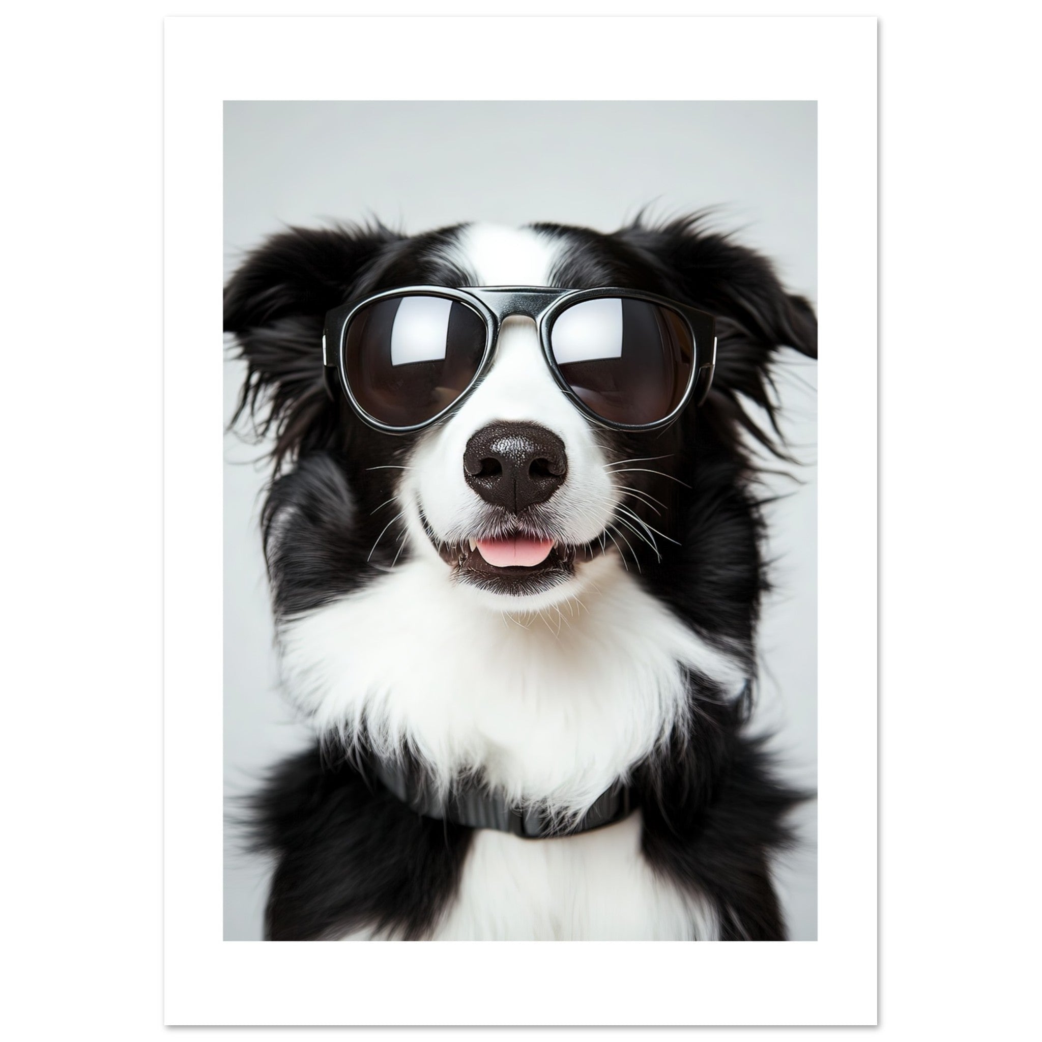 Border Collie Dog Wearing Pilot Sunglasses 3