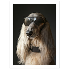 Afghan Hound Dog Wearing Pilot Sunglasses 1