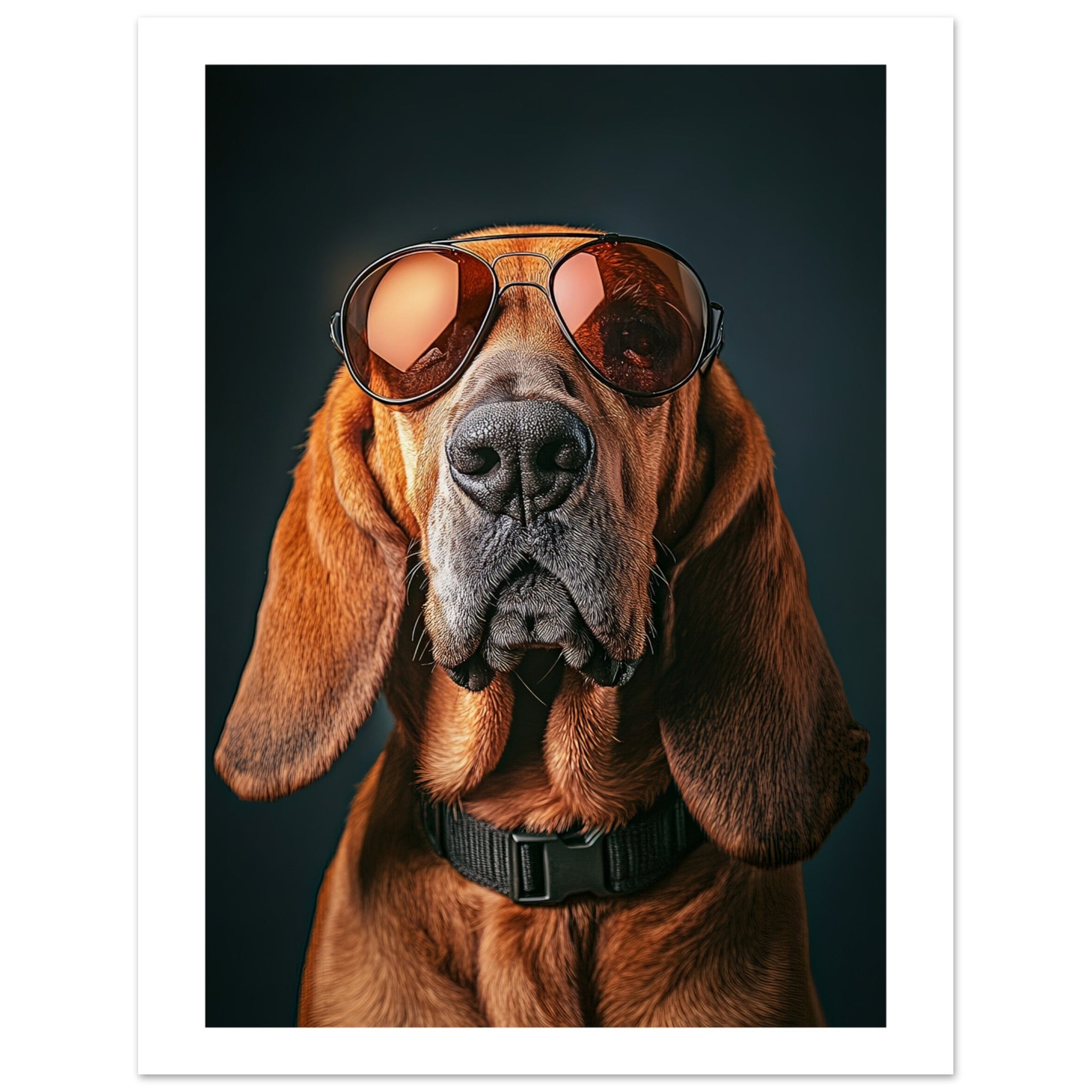 Bloodhound Dog Wearing Pilot Sunglasses