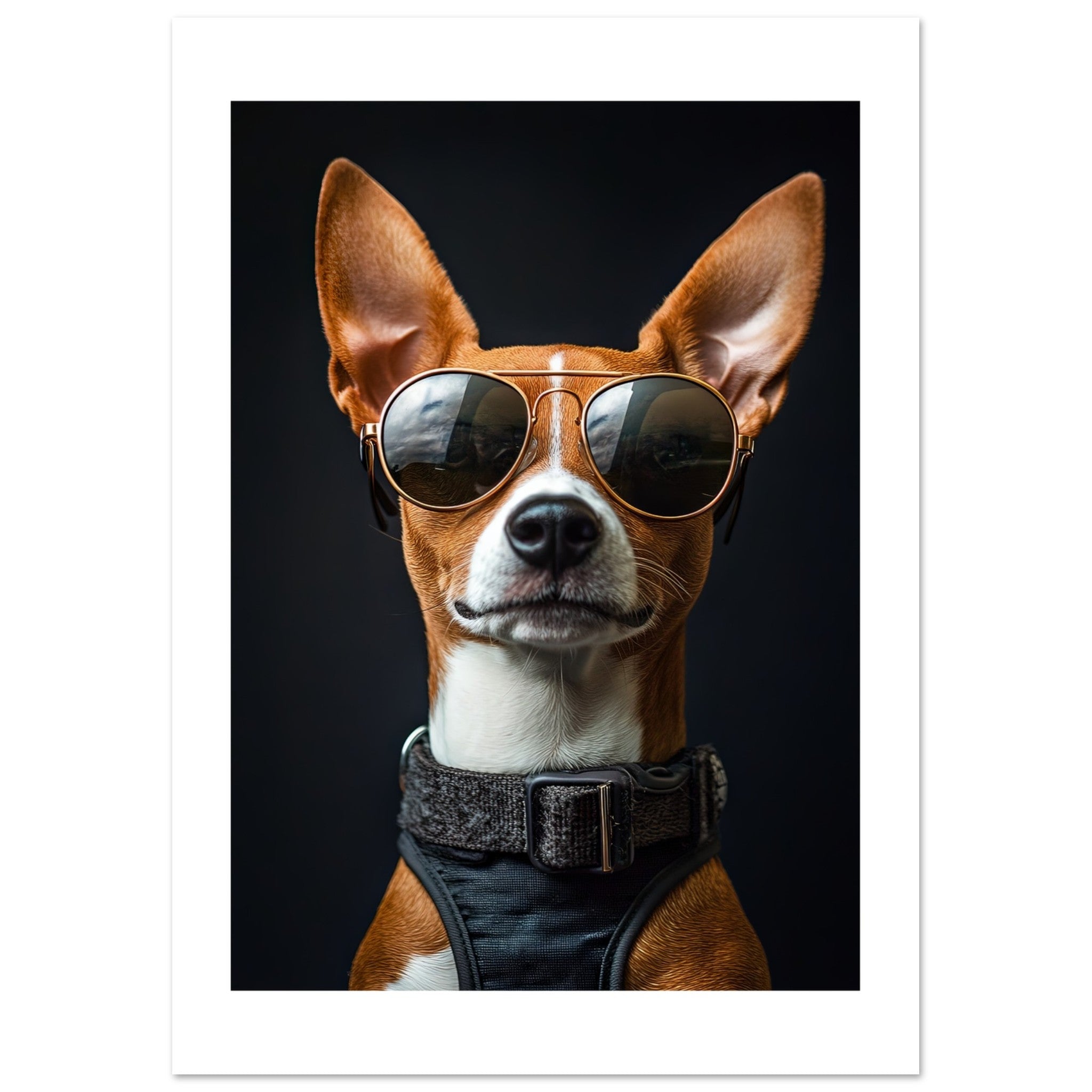 Basenji Dog Wearing Pilot Sunglasses