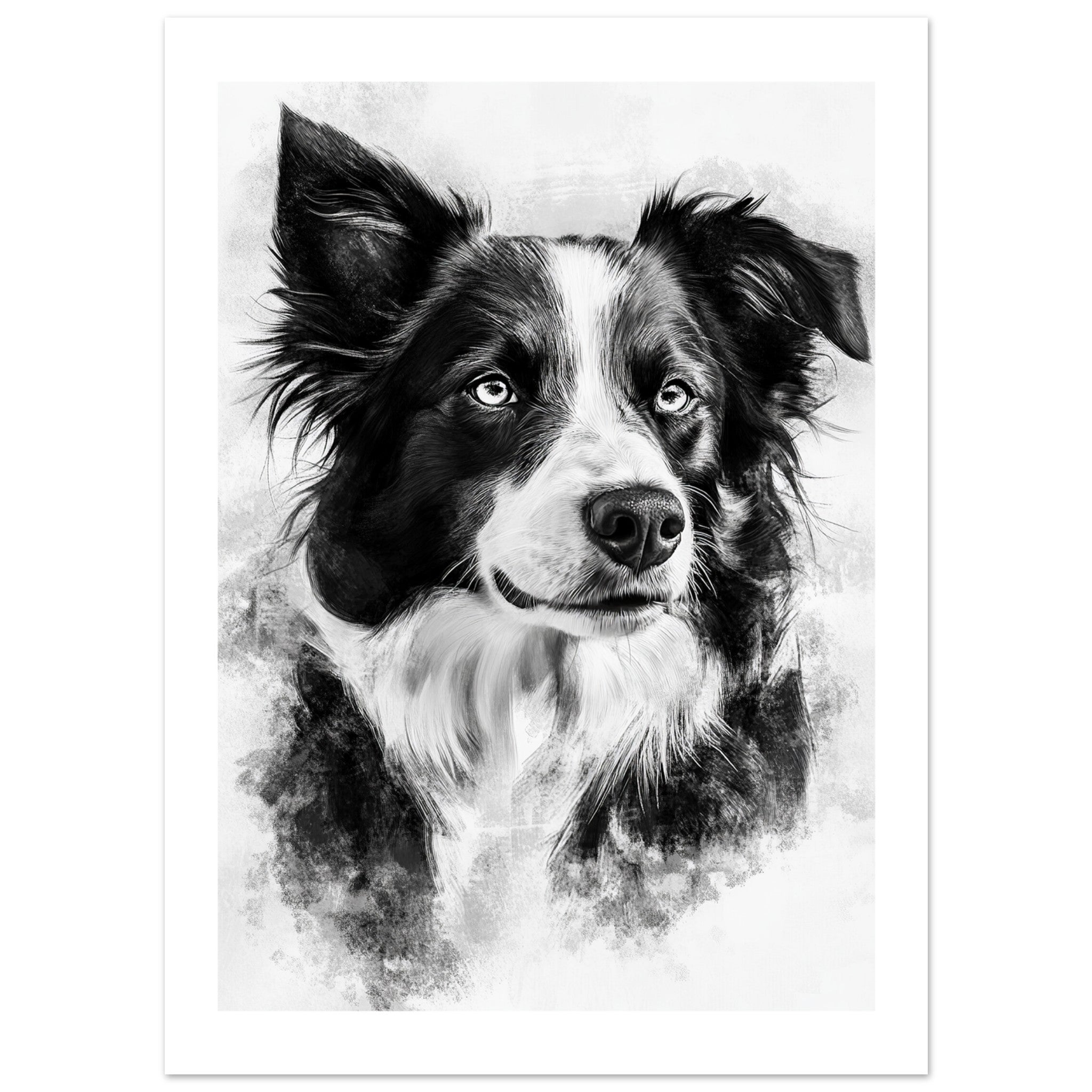 Border Collie Poster / Border Collie Art Work / Border Collie Print