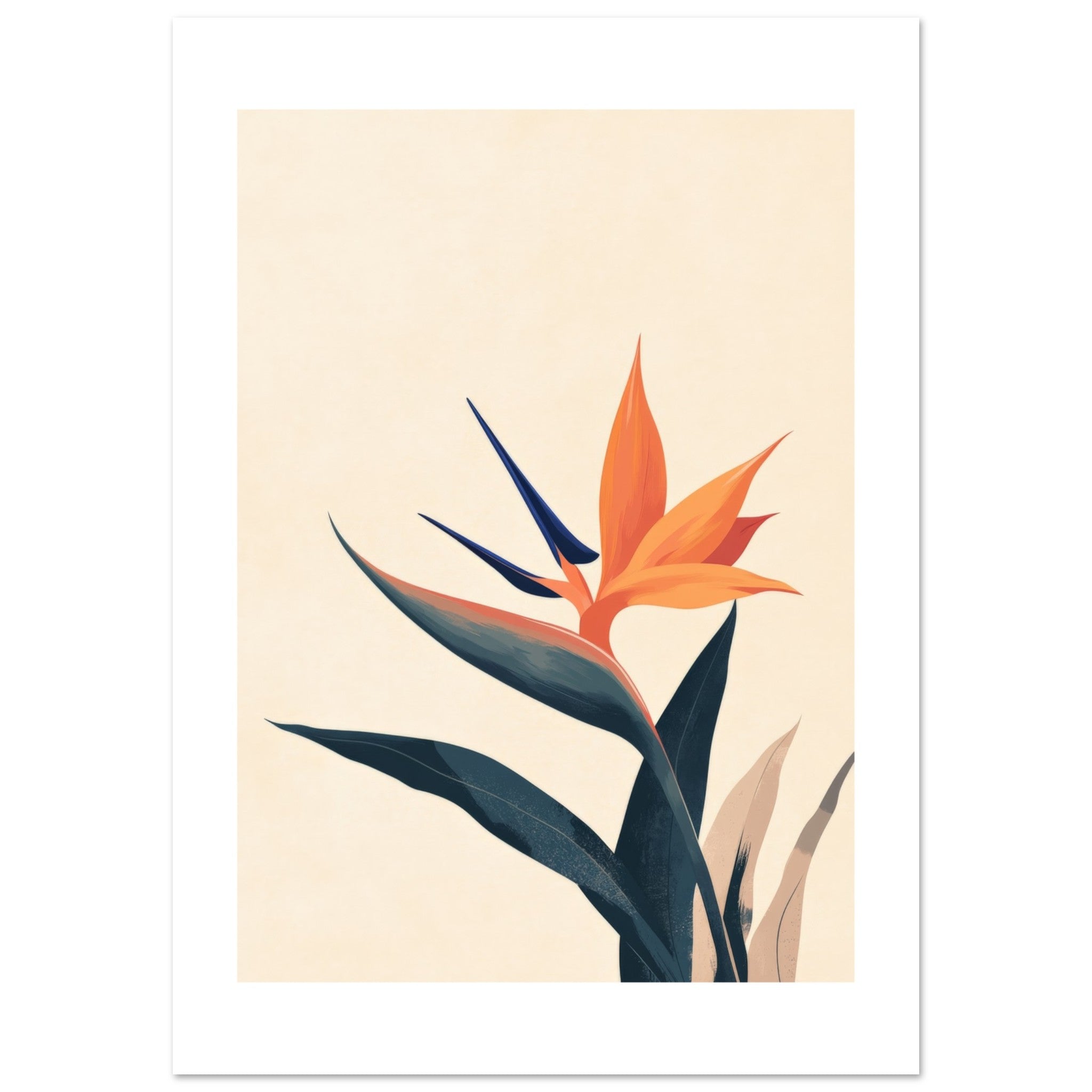 Bird of Paradise Strelitzia reginae 1