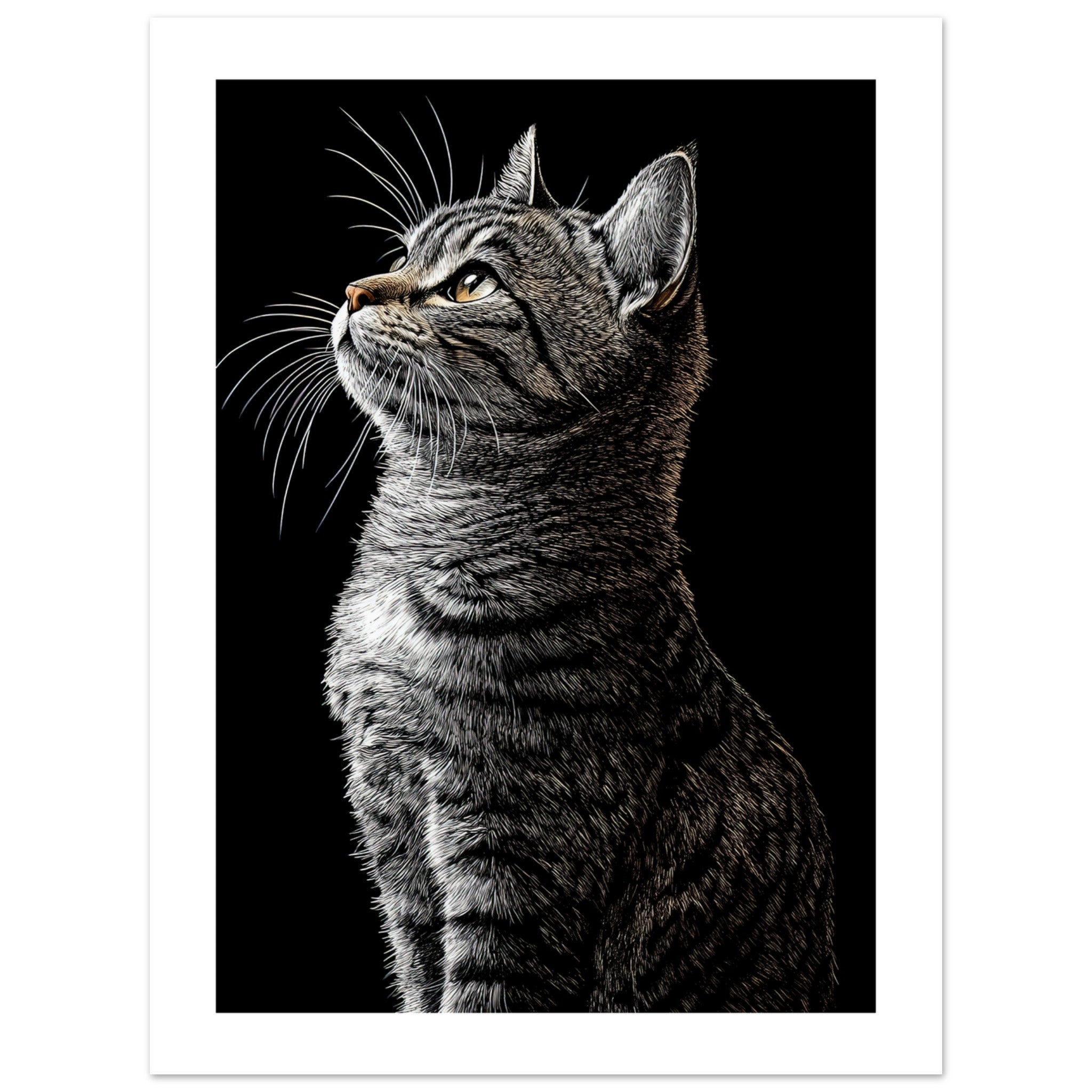American Shorthair Cat Painted With Tone Pen